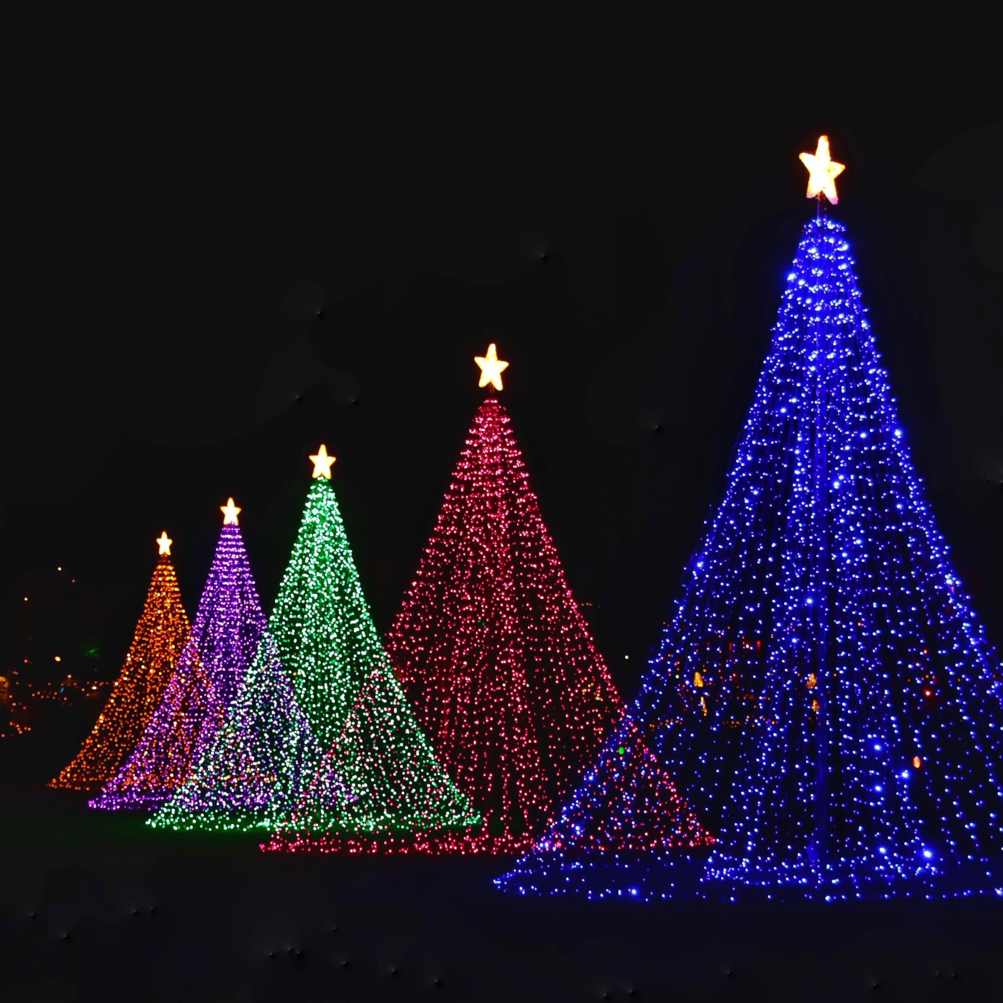 iPad Wallpapers Christmas Tree String Lights Purple Blue Green Ipad Wallpaper 3208x3208 px