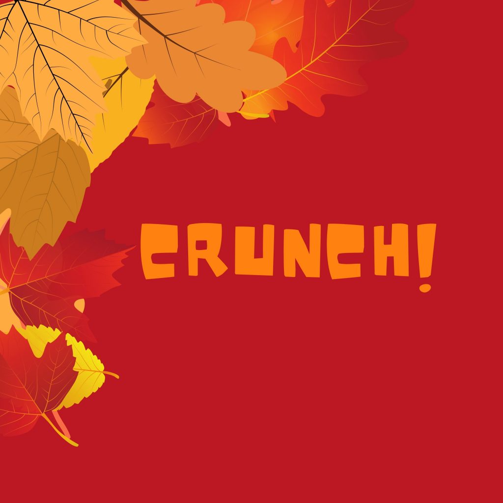 iPad Mini wallpapers Crunch Autumn Leaves Red iPad Wallpaper