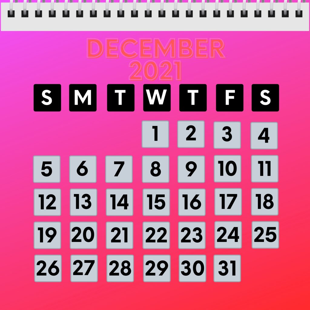 iPad Mini wallpapers December 2021 Calendar iPad Wallpaper