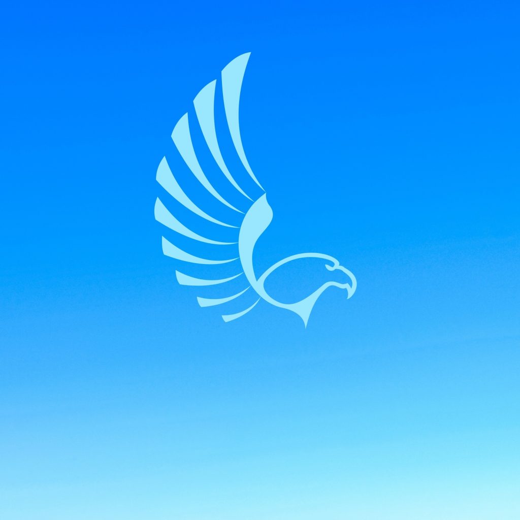 iPad Mini wallpapers Eagle Blue iPad Wallpaper