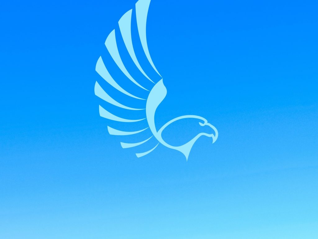 1024x768 wallpaper 4k Eagle Blue iPad Wallpaper 1024x768 pixels resolution