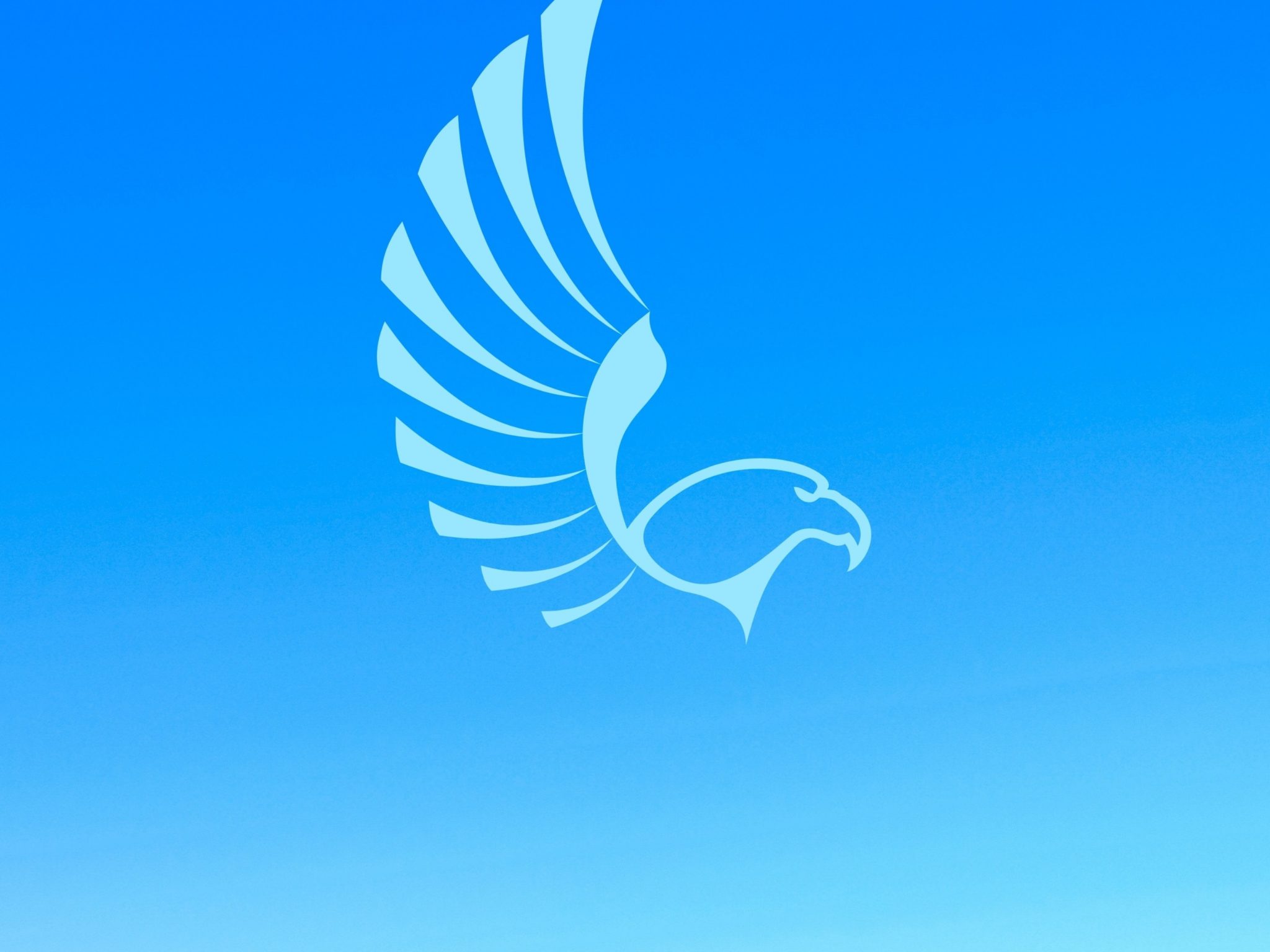 2048x1536 wallpaper Eagle Blue iPad Wallpaper 2048x1536 pixels resolution