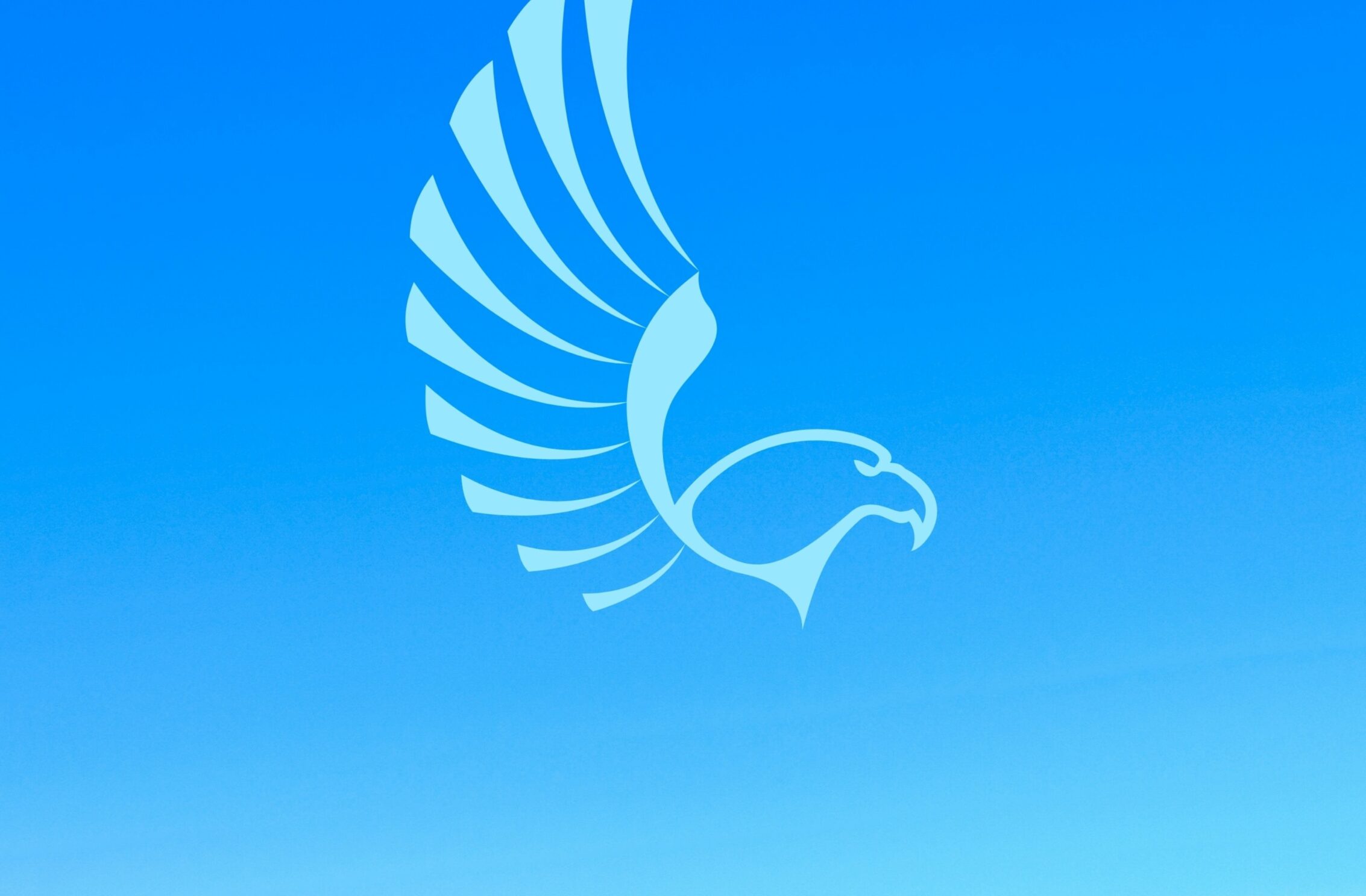 2266x1488 iPad Mini wallpapers Eagle Blue iPad Wallpaper 2266x1488 pixels resolution