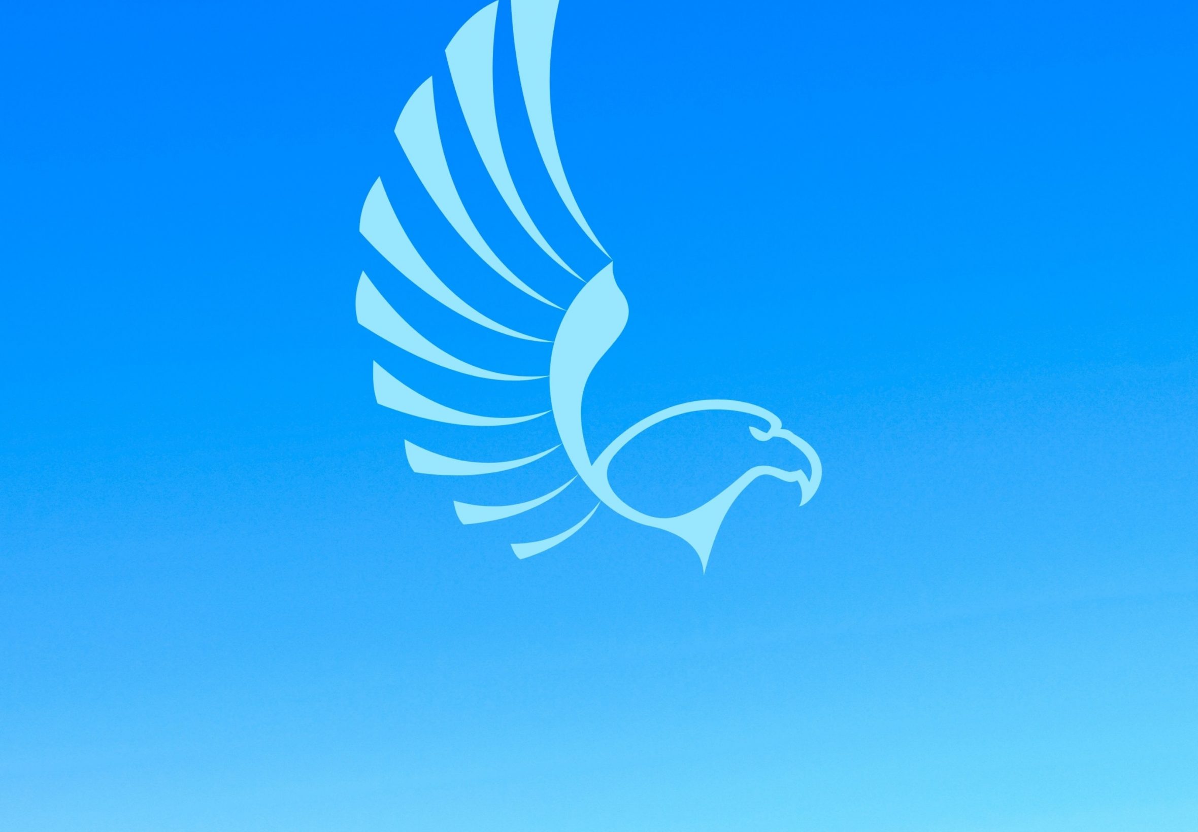 2360x1640 iPad Air wallpaper 4k Eagle Blue iPad Wallpaper 2360x1640 pixels resolution