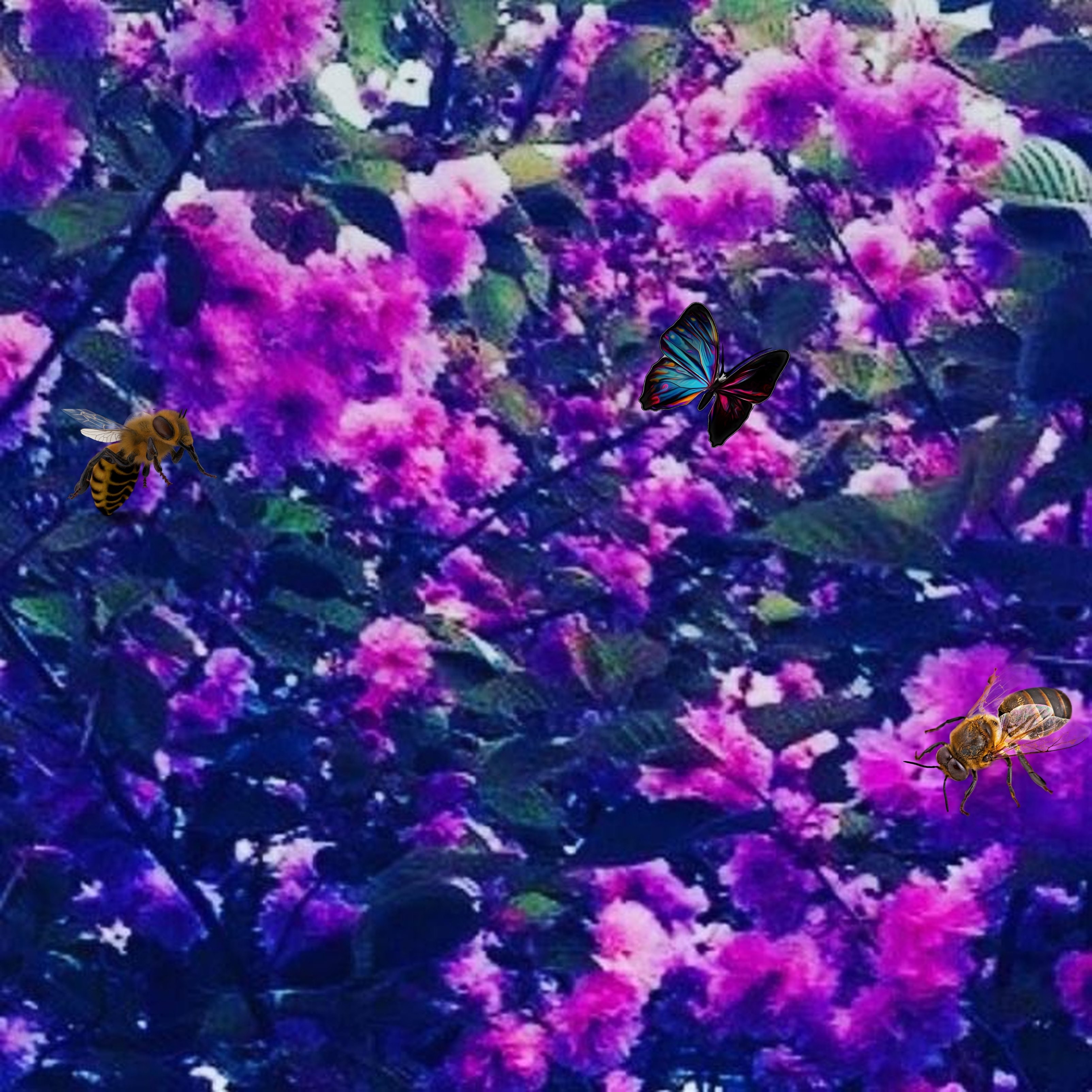 Flower Bougainvillea Nature Purple Honey Bee iPad Wallpaper