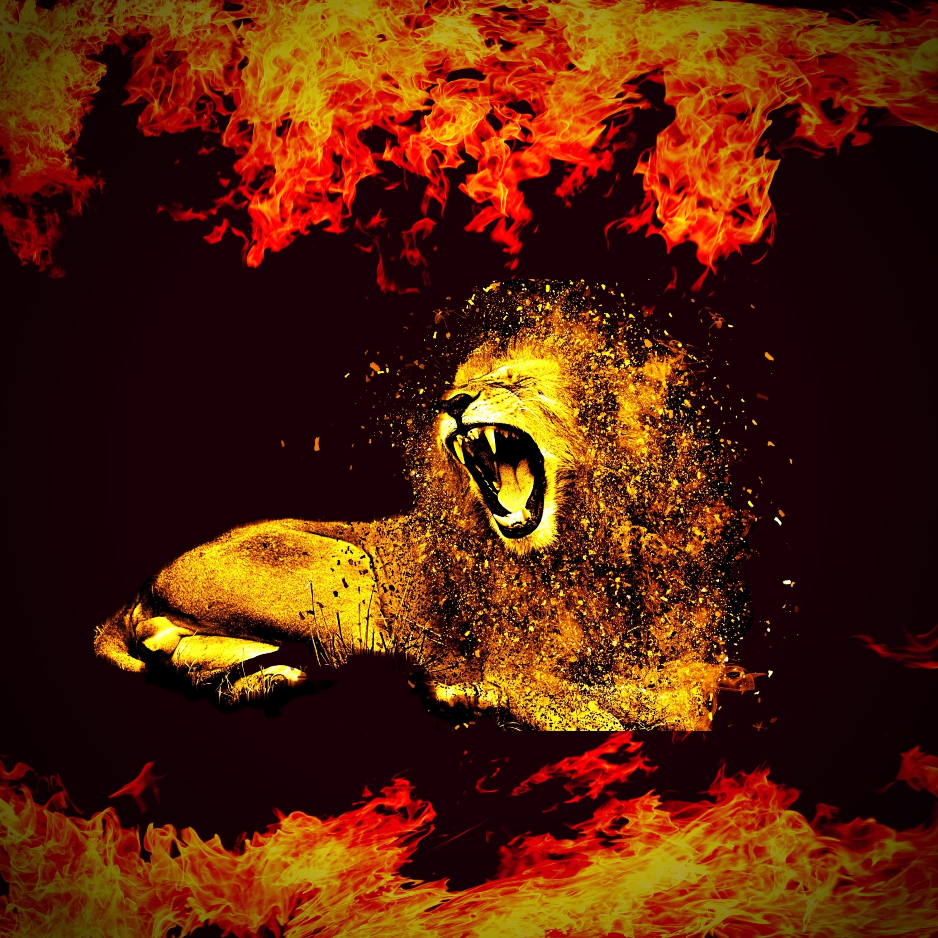 Lion Flame iPad Wallpaper