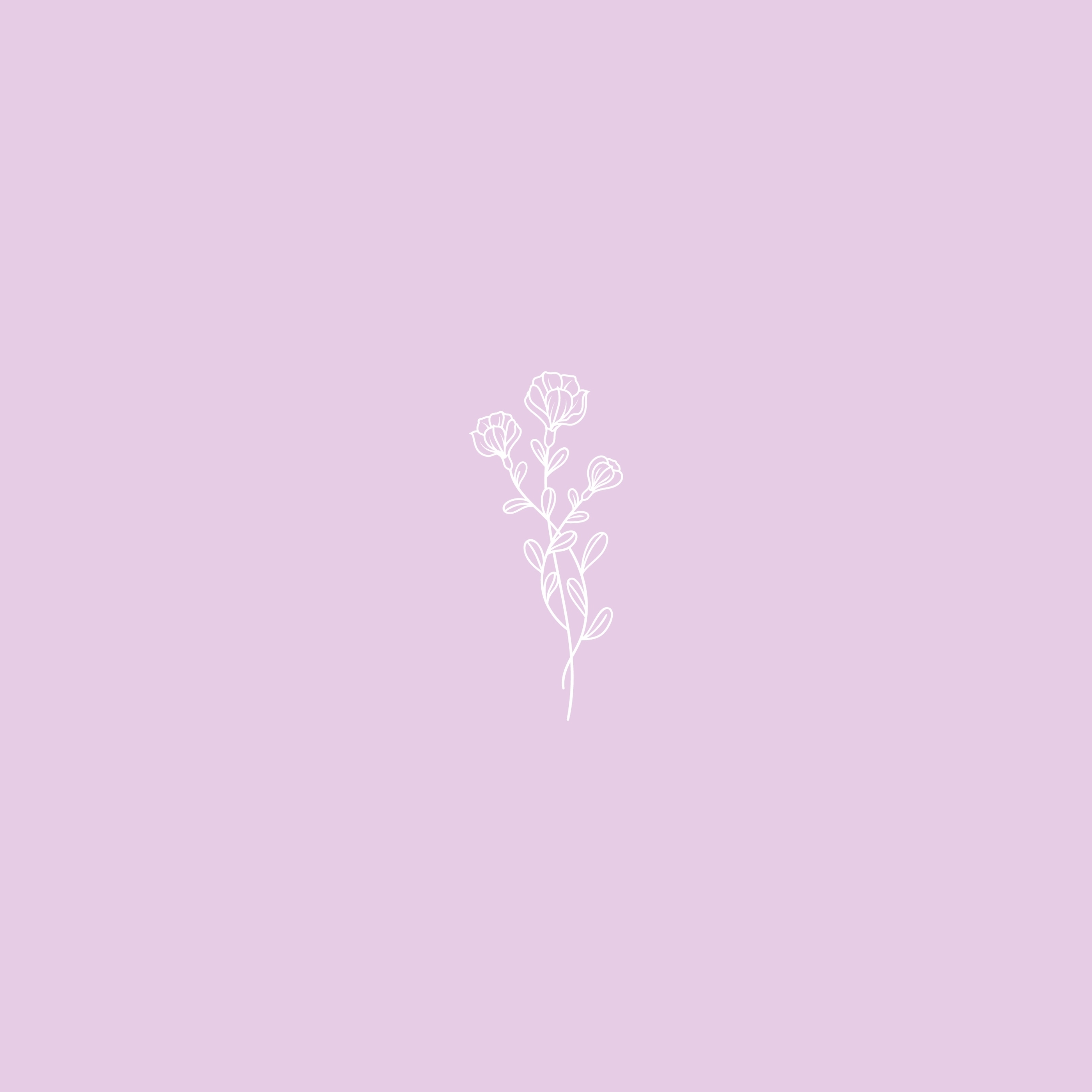 Minimalistic flower iPad wallpaper