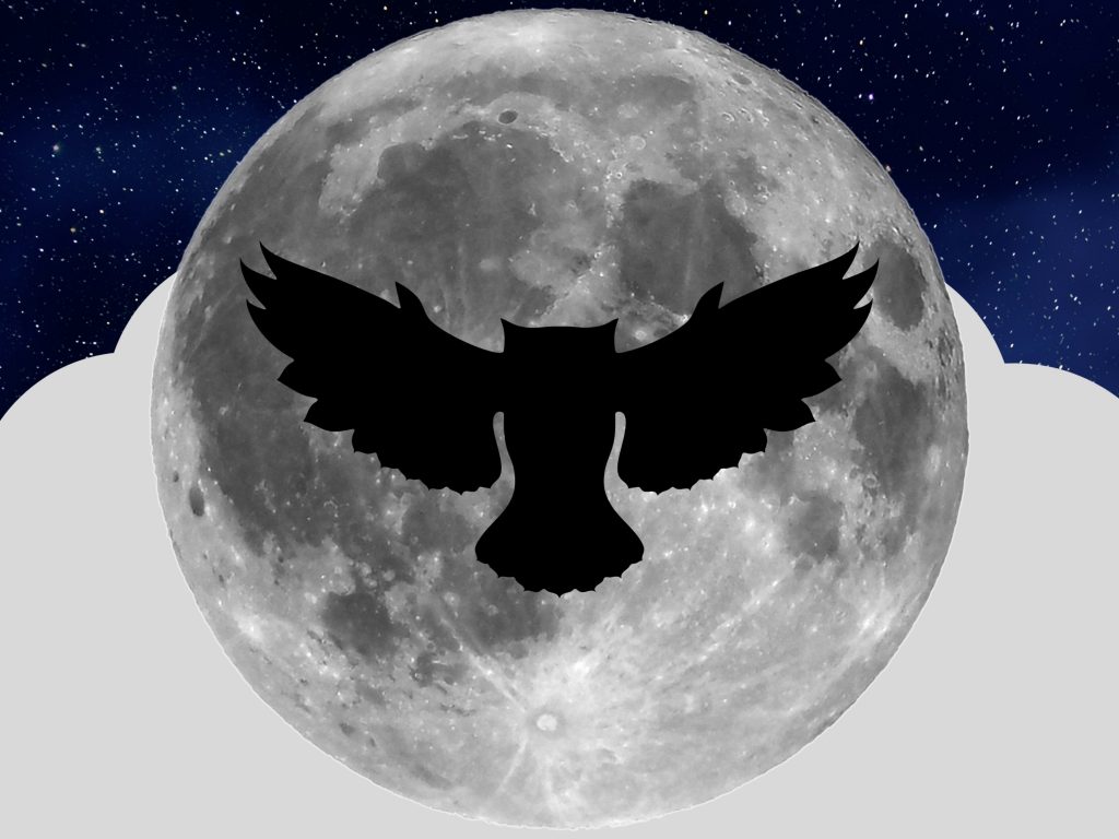 1024x768 wallpaper 4k Night Owl Full Moon iPad Wallpaper 1024x768 pixels resolution