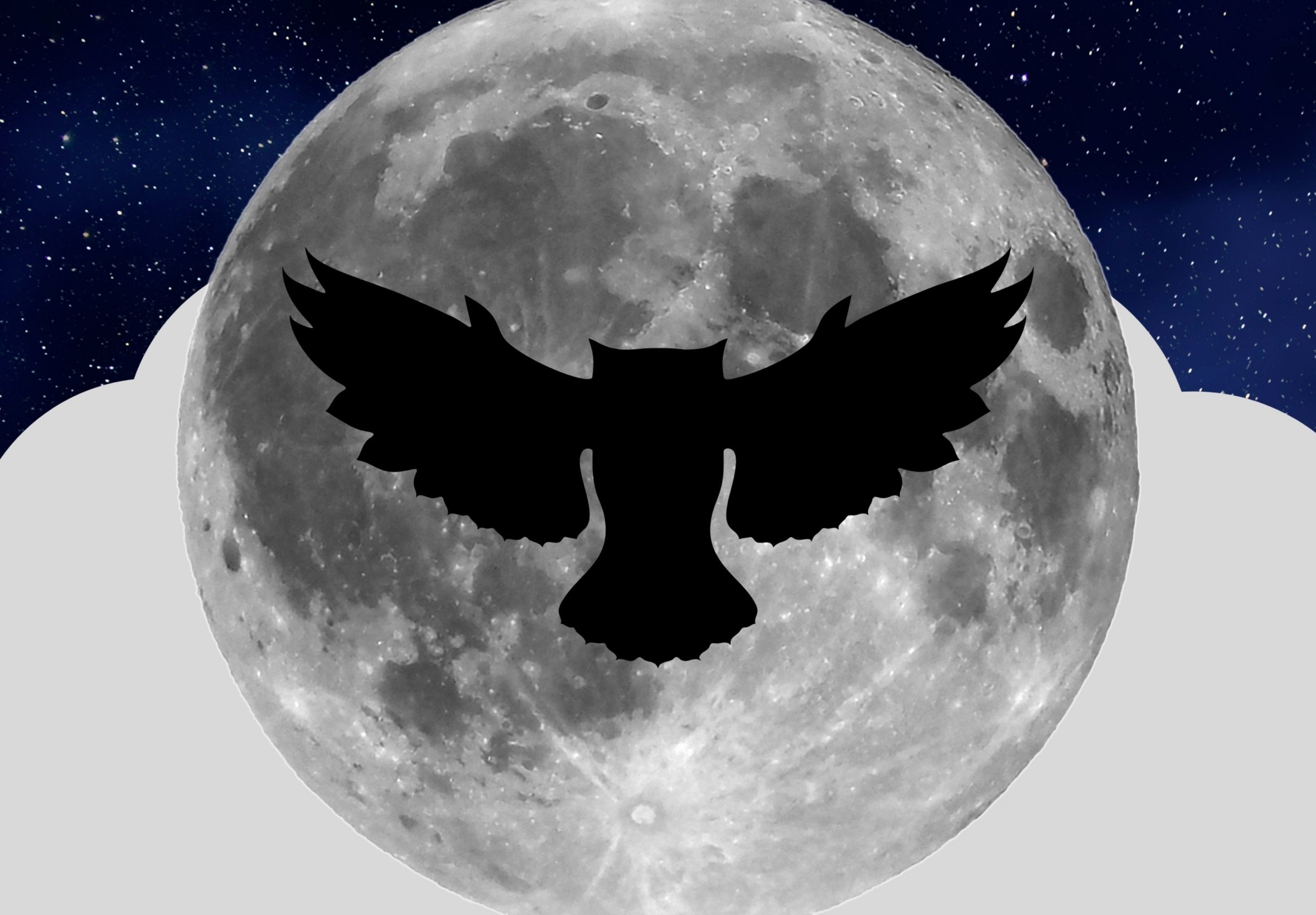 2360x1640 iPad Air wallpaper 4k Night Owl Full Moon iPad Wallpaper 2360x1640 pixels resolution