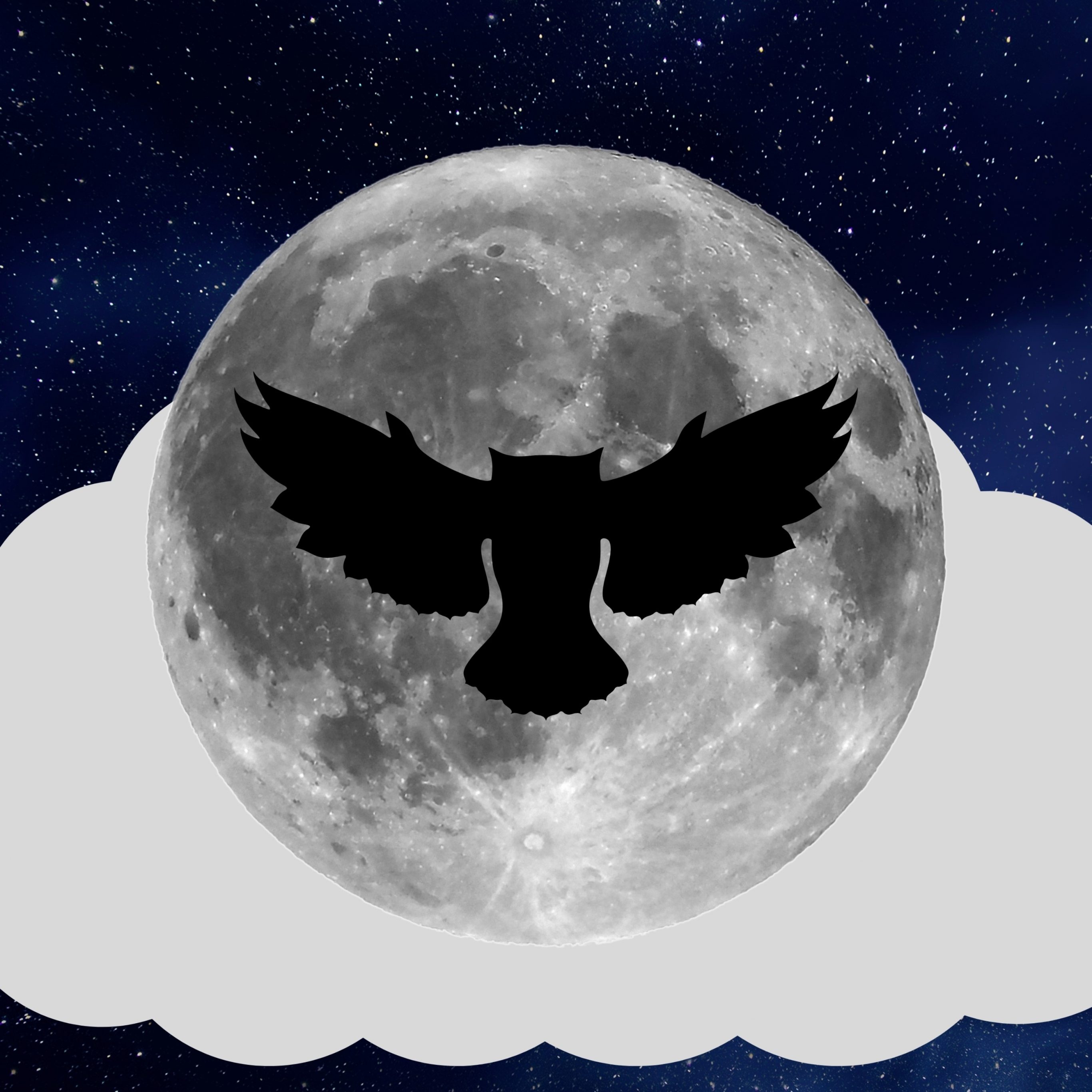 iPad Pro 12.9 wallpapers Night Owl Full Moon iPad Wallpaper