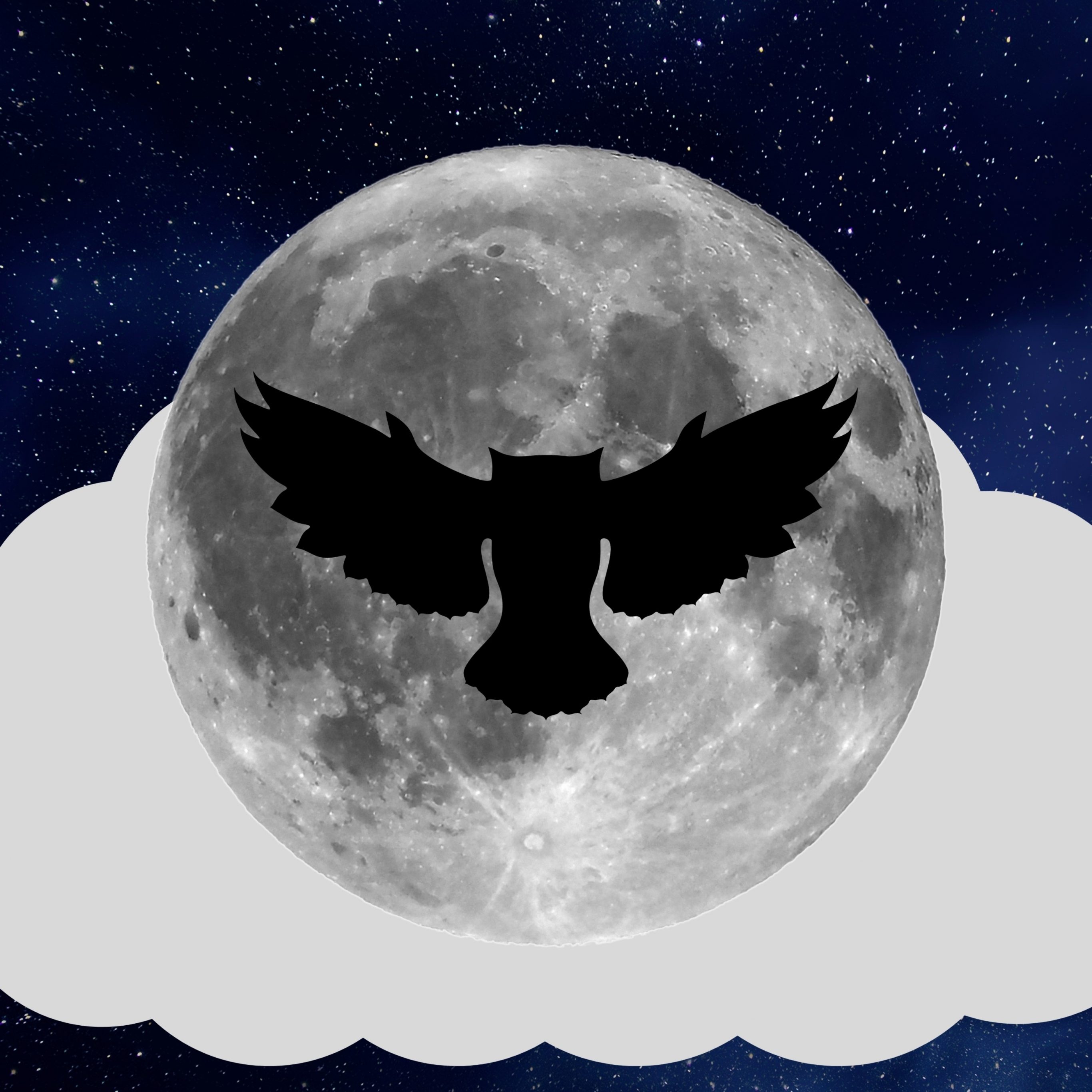 2732x2732 wallpapers 4k iPad Pro Night Owl Full Moon iPad Wallpaper 2732x2732 pixels resolution