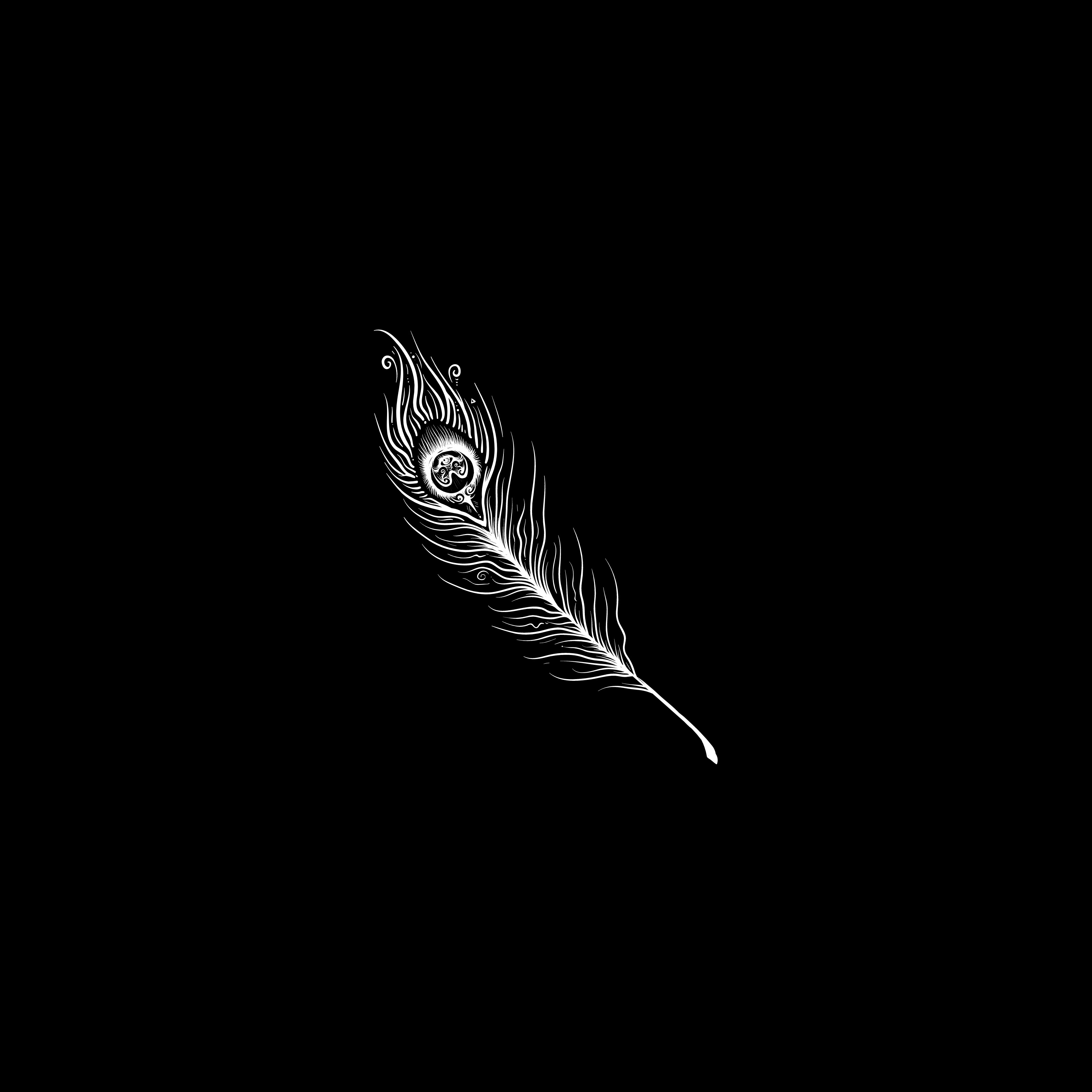 Peacock Feather White Black Background iPad Wallpaper