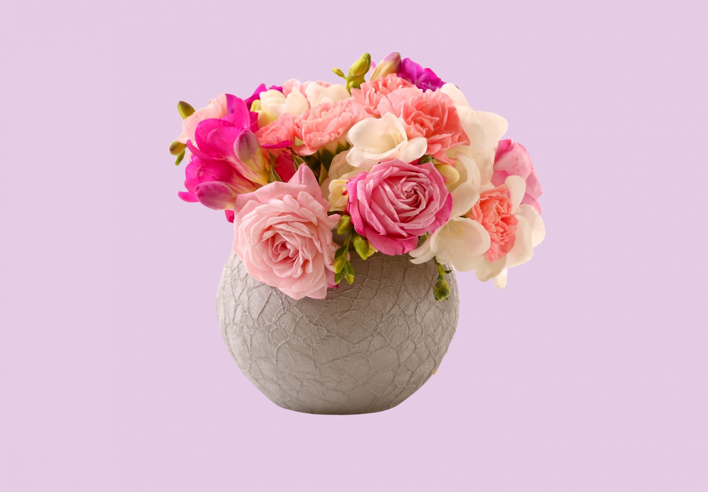 2360x1640 iPad Air wallpaper 4k Vase Pink Roses Floral Pot iPad Wallpaper 2360x1640 pixels resolution