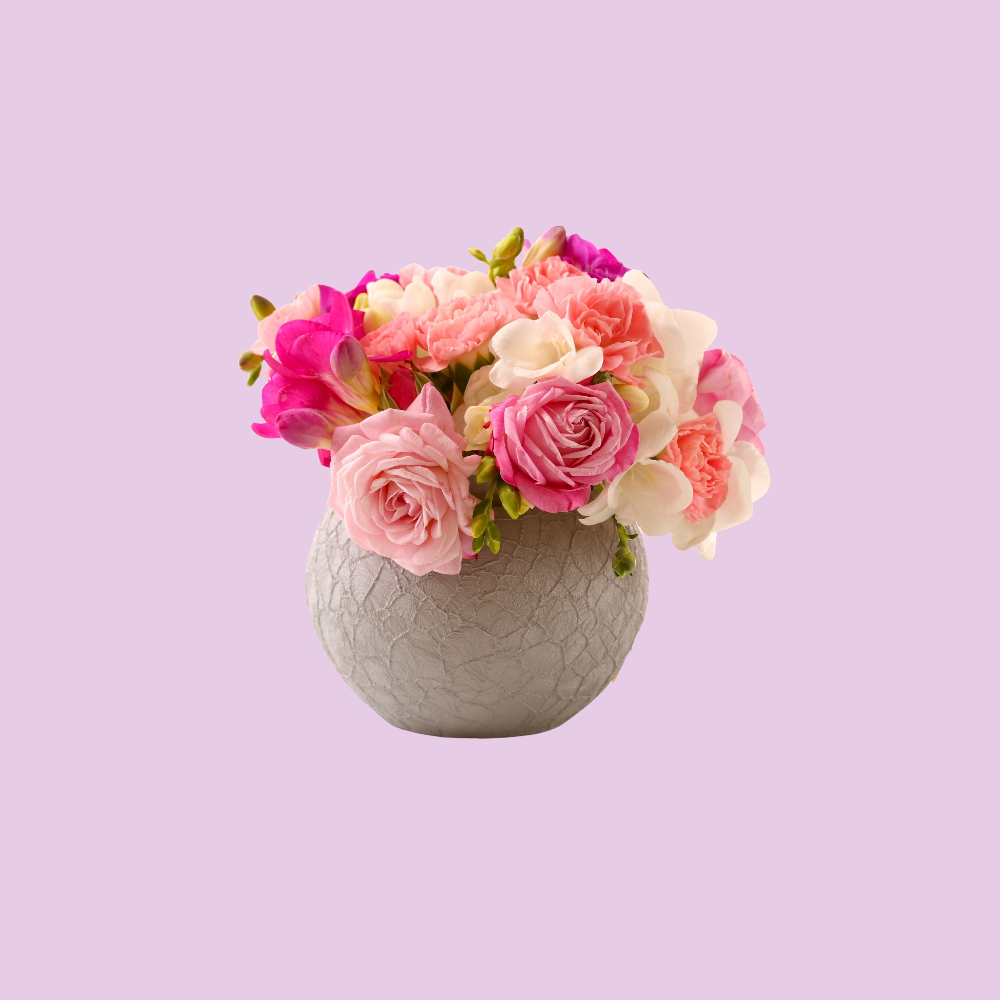 Vase Pink Roses Floral Pot iPad Wallpaper