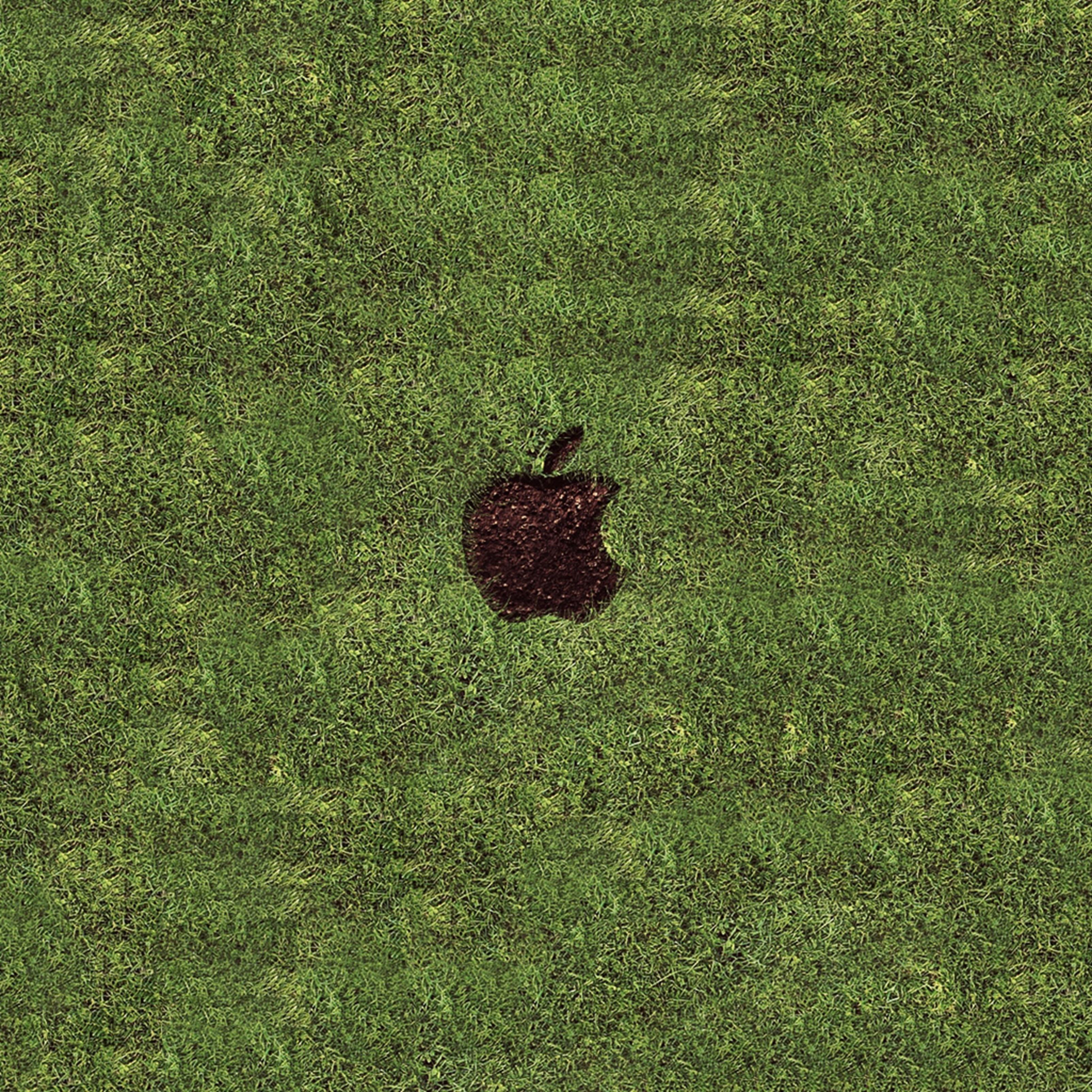Apple Grass Ipad Wallpaper