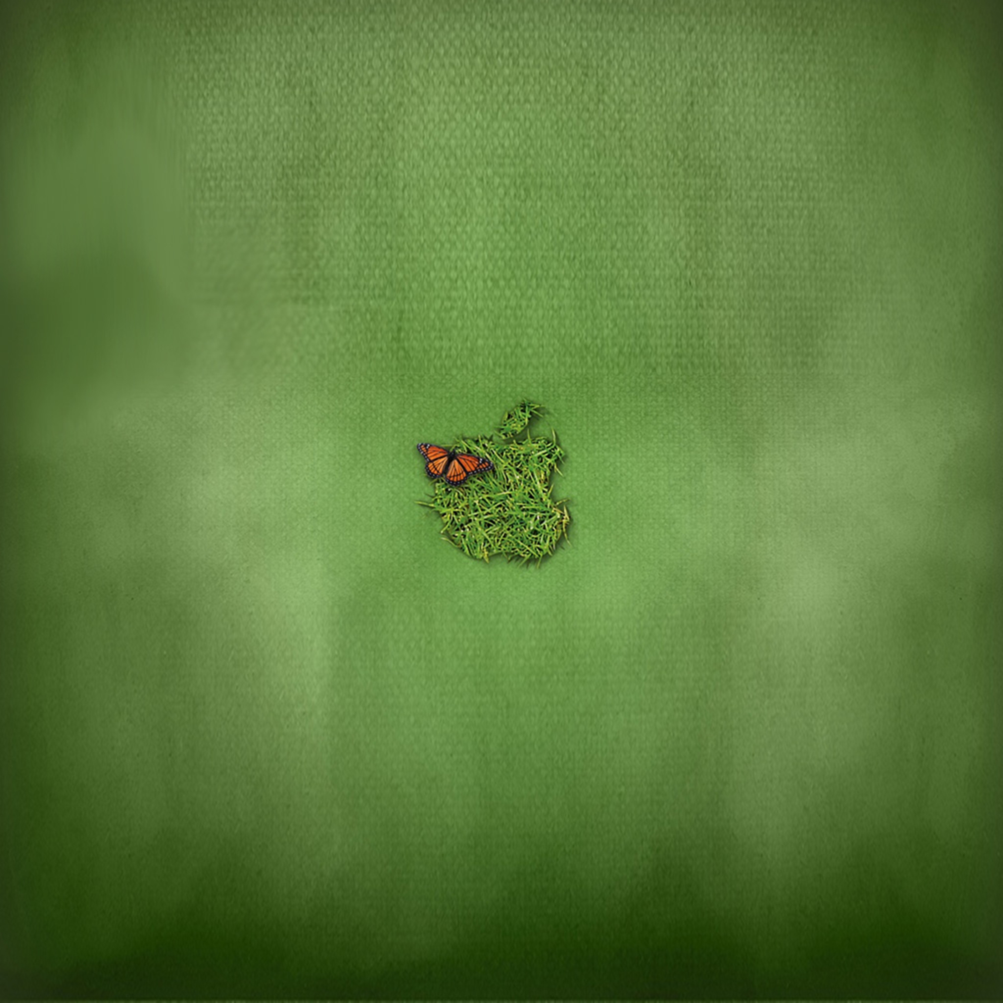 Apple Green Ipad Wallpaper
