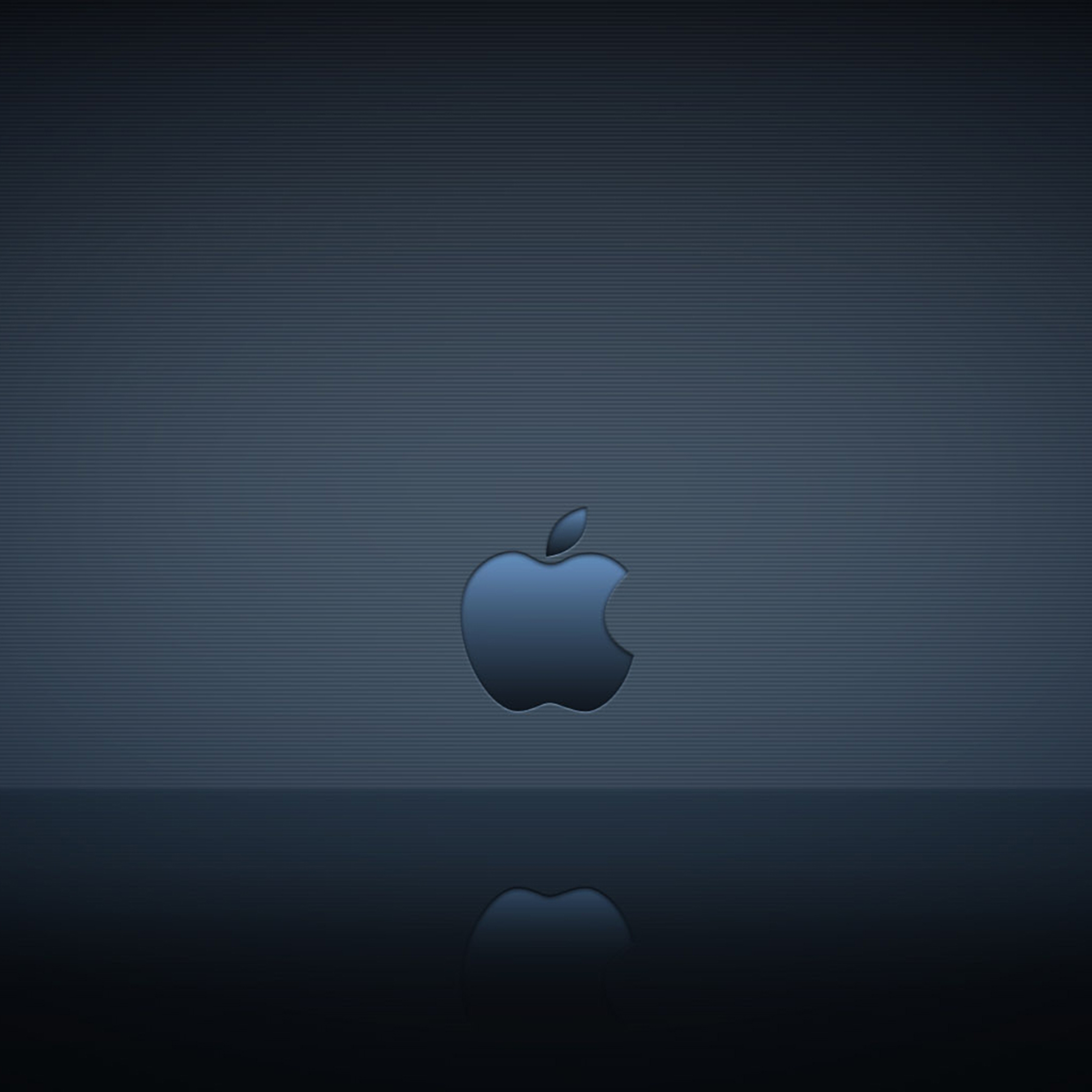 Apple Logo Reflection Ipad Wallpaper