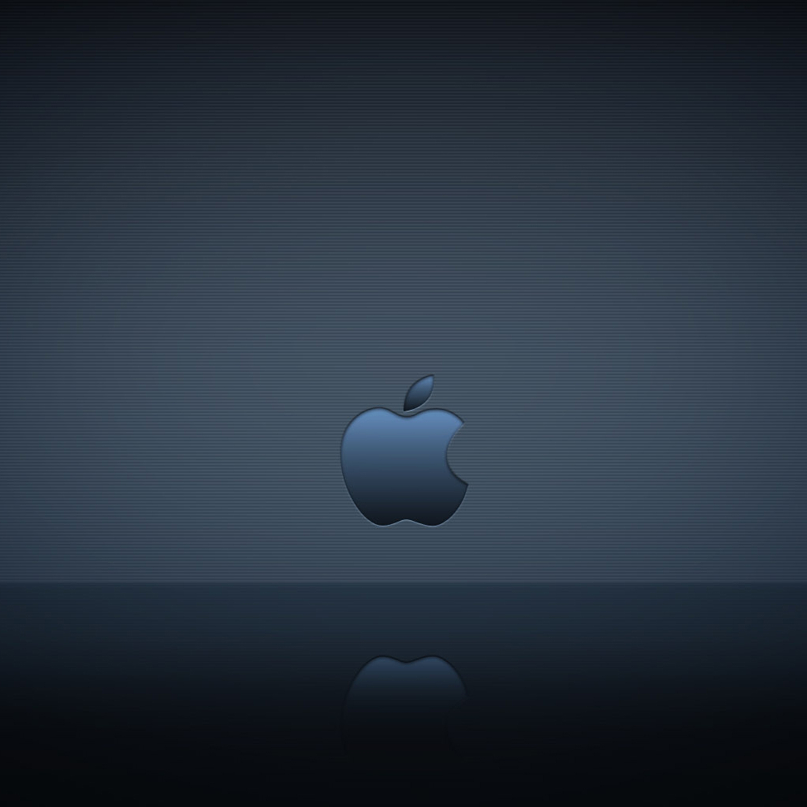 iPad Air wallpapers Apple Logo Reflection Ipad Wallpaper