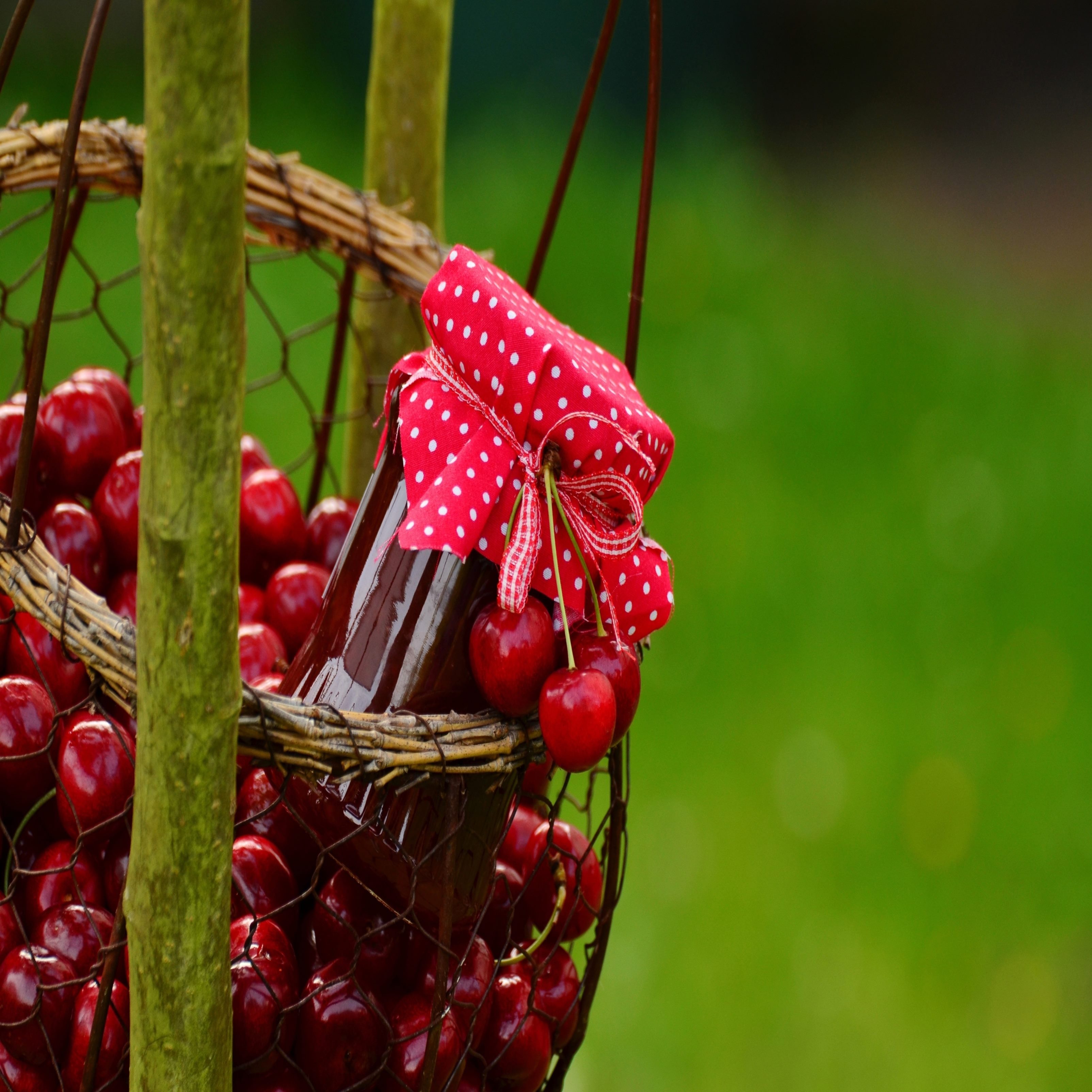 Cherry Basket Ipad Wallpaper