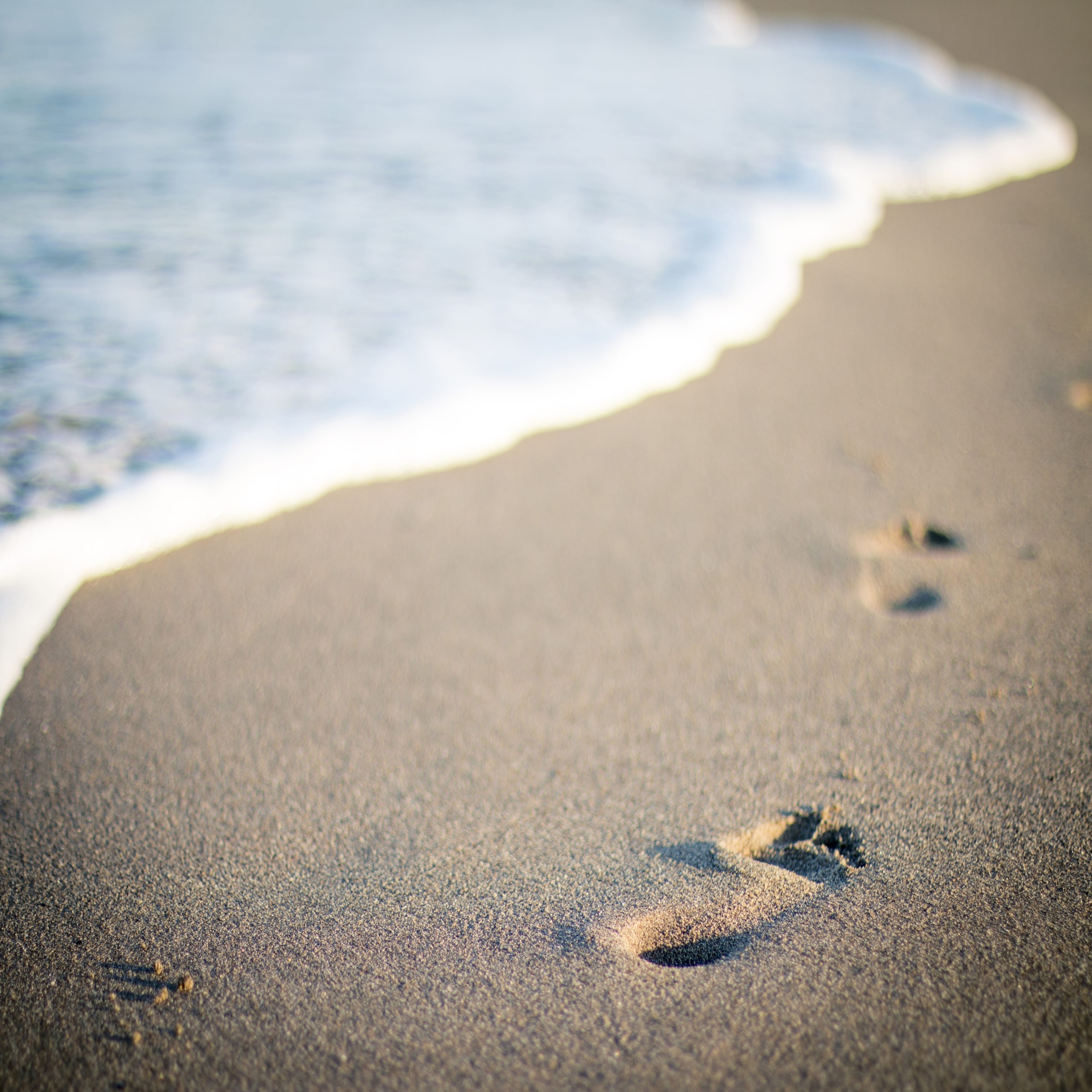 Sand Footprints Ipad Wallpaper
