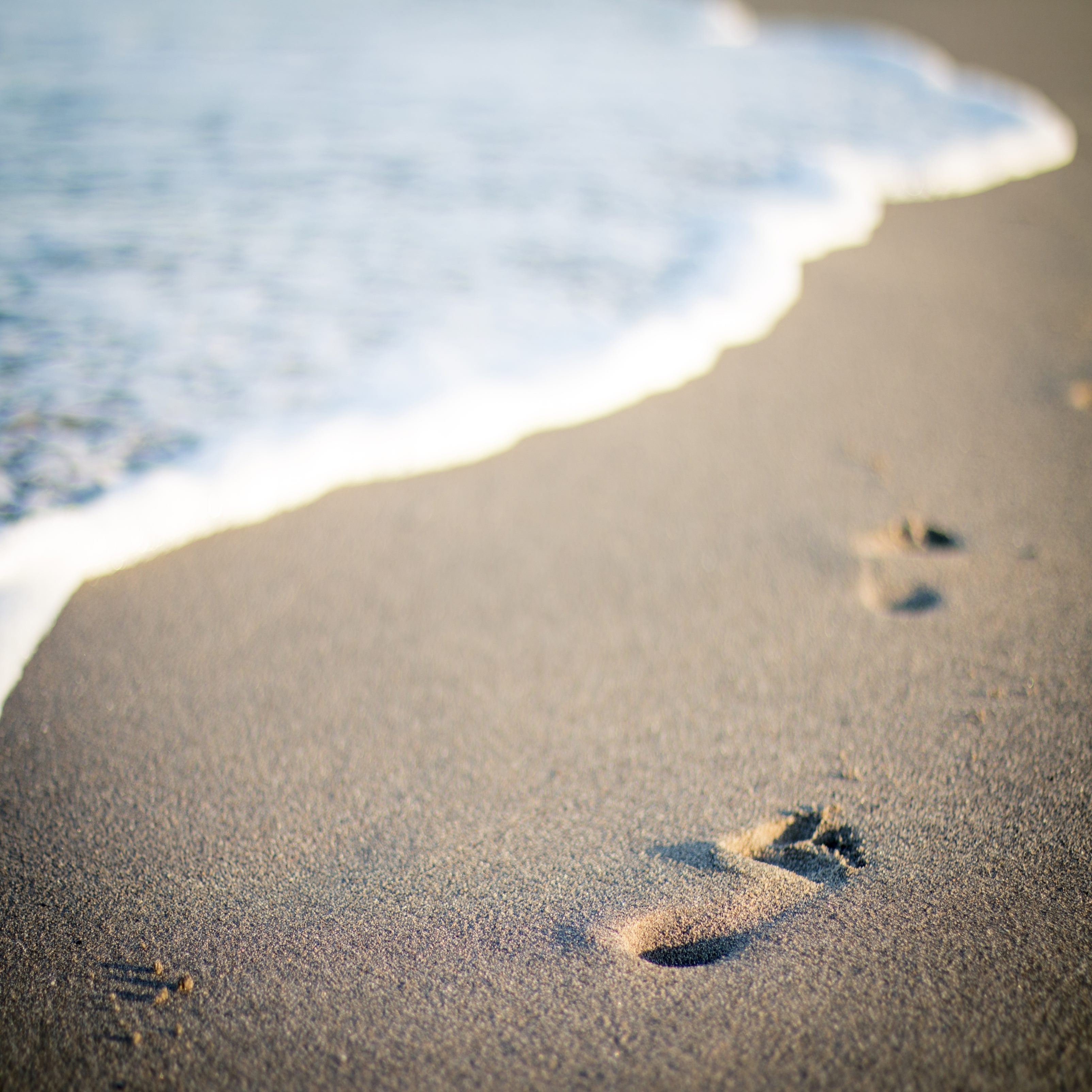 iPad Air wallpapers Sand Footprints Ipad Wallpaper