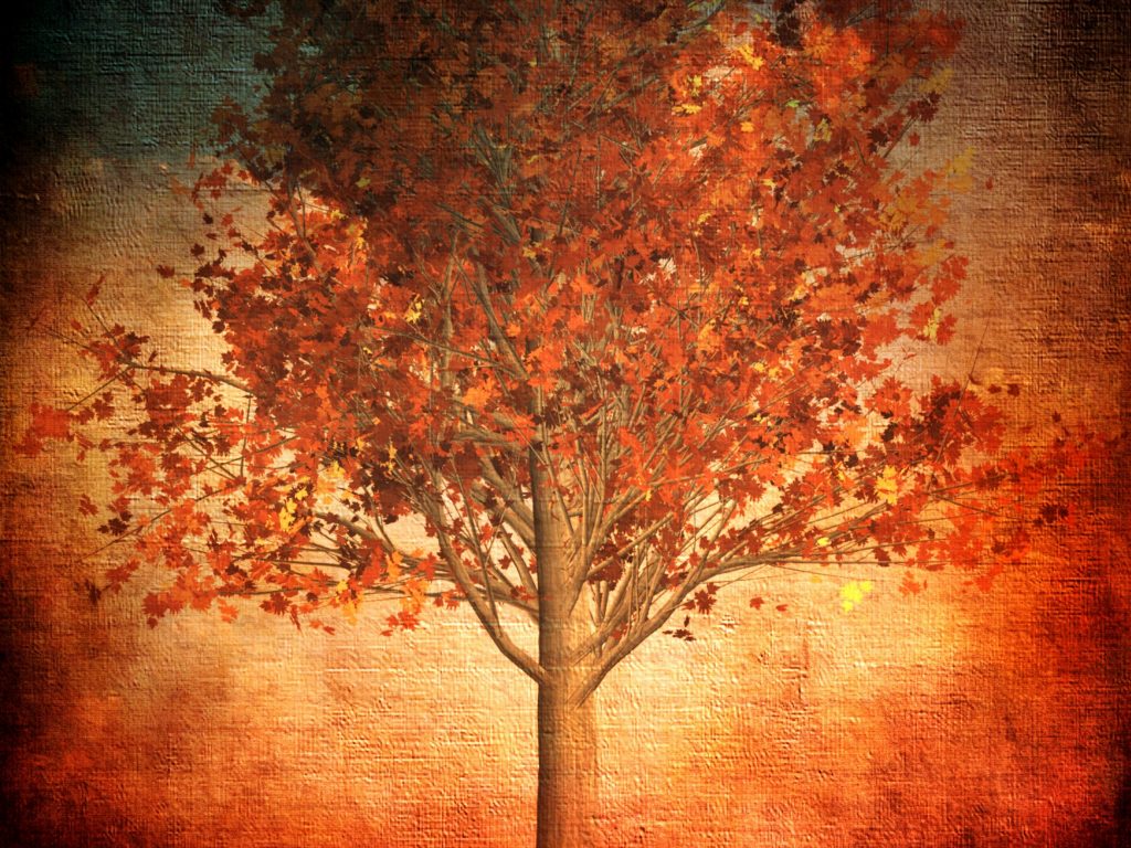 1024x768 wallpaper 4k Aesthetic Autumn Red Fall Leaves Nature iPad Wallpaper 1024x768 pixels resolution