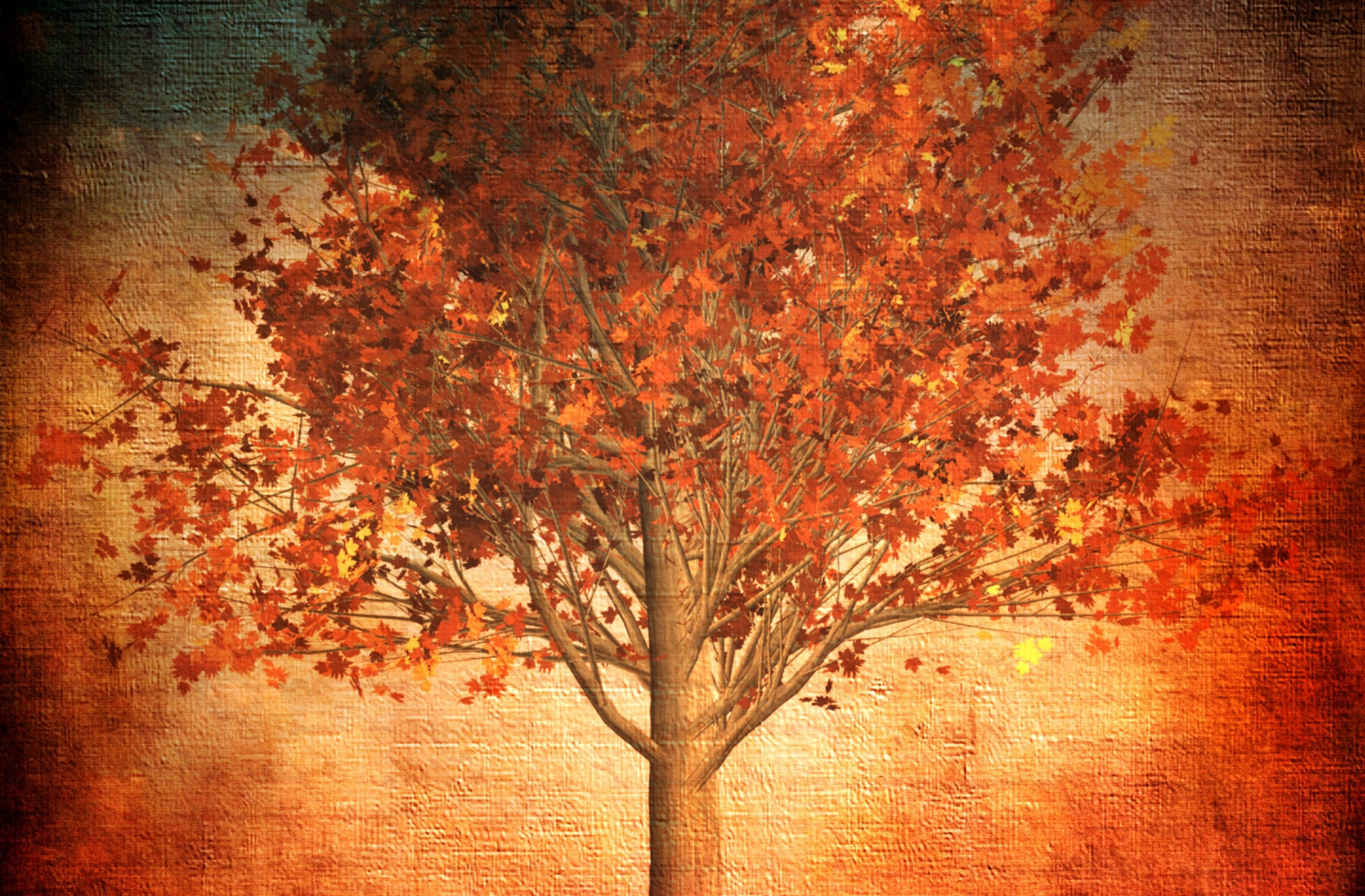 2266x1488 wallpaper Aesthetic Autumn Red Fall Leaves Nature iPad Wallpaper 2266x1488 pixels resolution