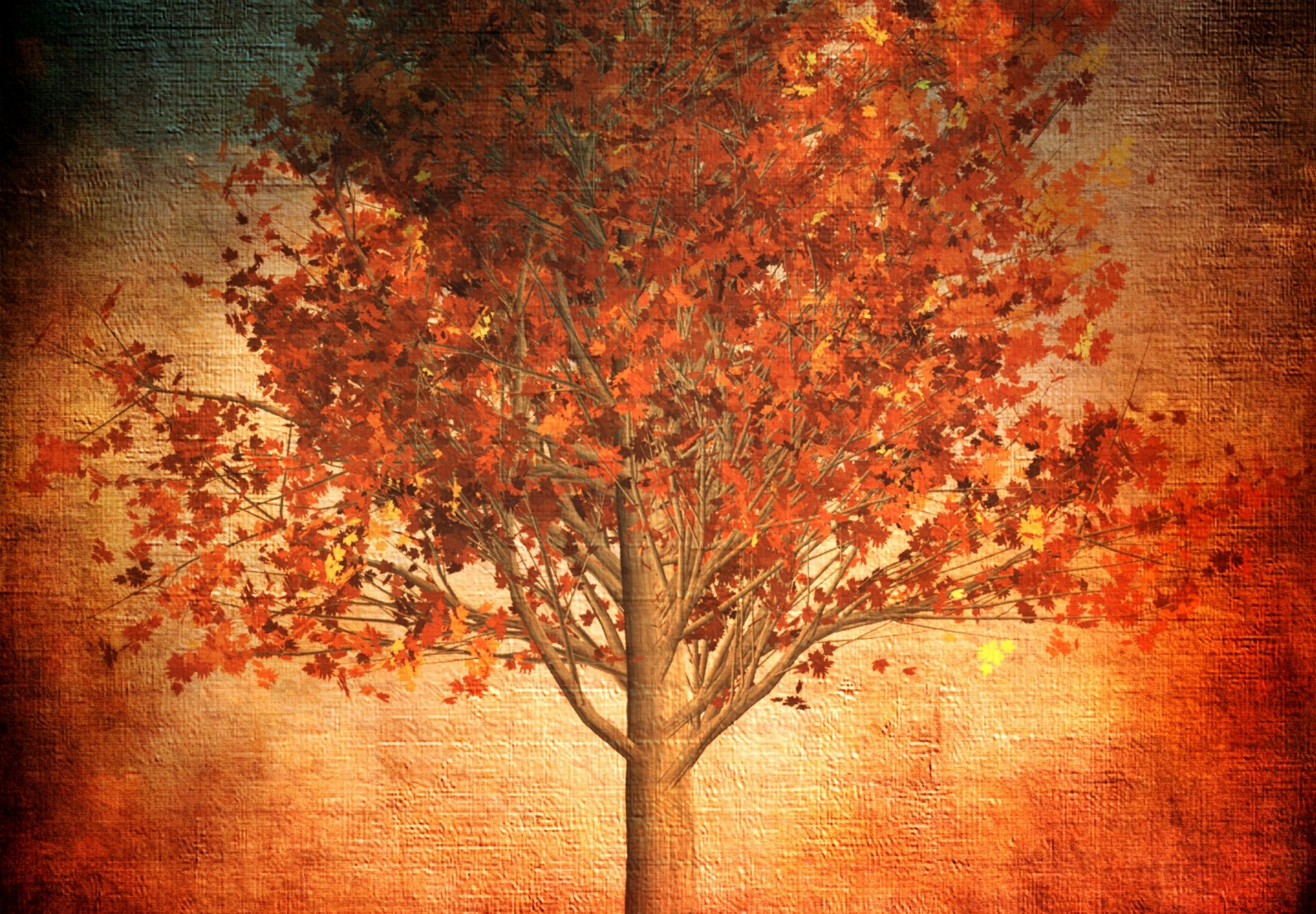 2360x1640 iPad Air wallpaper 4k Aesthetic Autumn Red Fall Leaves Nature iPad Wallpaper 2360x1640 pixels resolution