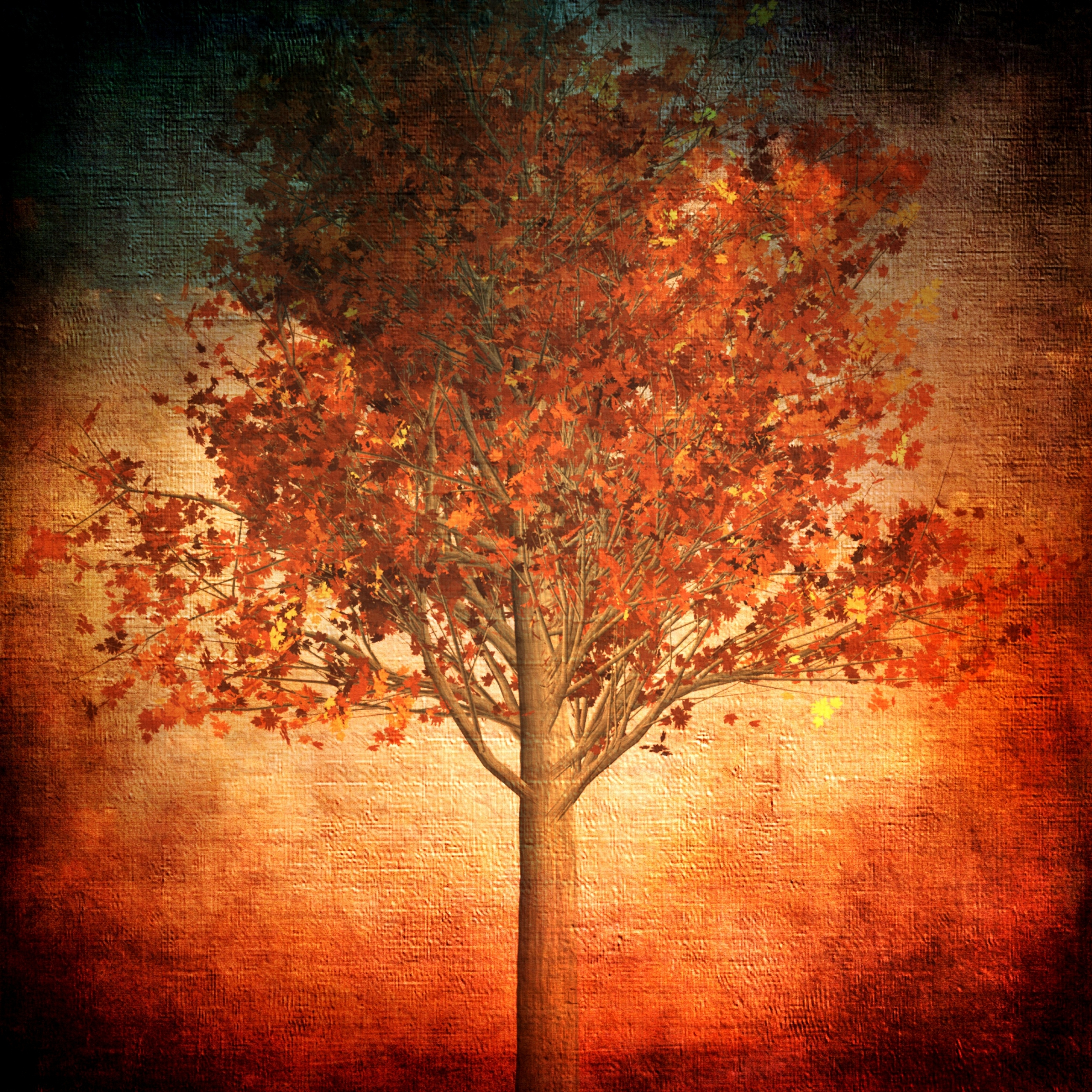 iPad Wallpapers Aesthetic Autumn Red Fall Leaves Nature iPad Wallpaper 3208x3208 px