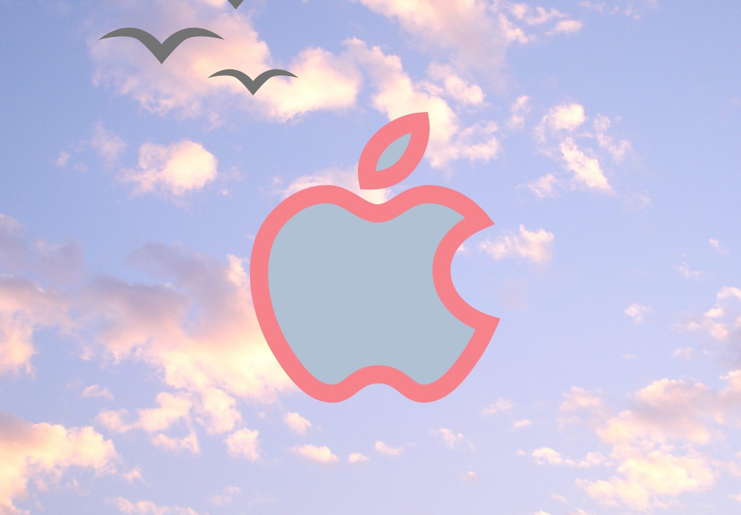 2360x1640 iPad Air wallpaper 4k Apple Logo Pink Blue Sky Clouds Birds iPad Wallpaper 2360x1640 pixels resolution