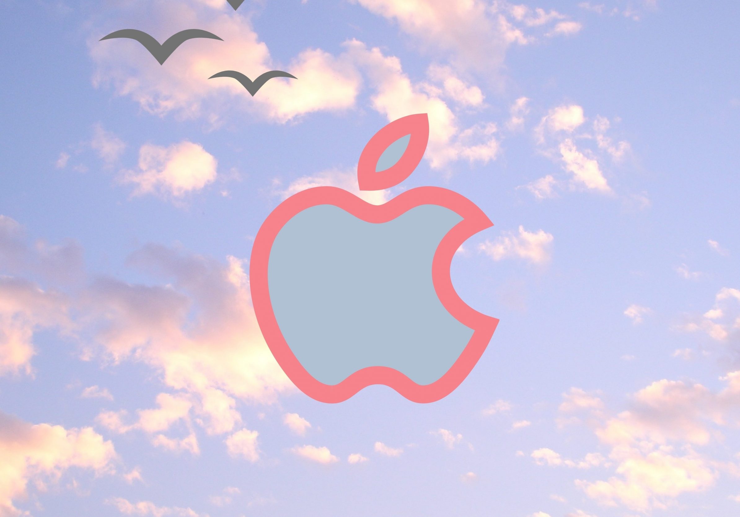 2388x1668 iPad Pro wallpapers Apple Logo Pink Blue Sky Clouds Birds iPad Wallpaper 2388x1668 pixels resolution