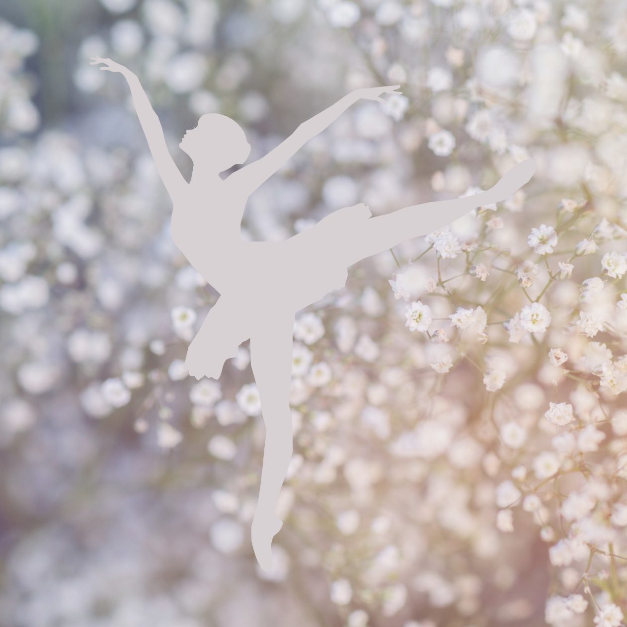 1262x1262 Parallax wallpaper 4k Ballerina Girl Dance White Dandelion Flowers iPad Wallpaper 1262x1262 pixels resolution