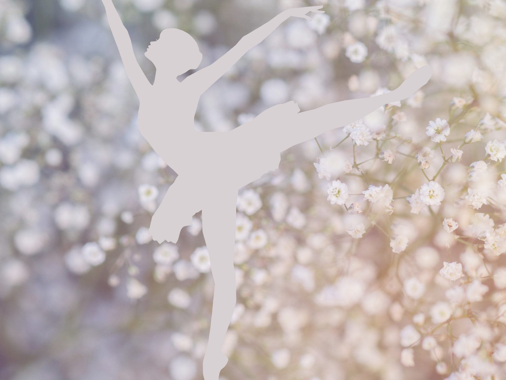 2048x1536 wallpaper Ballerina Girl Dance White Dandelion Flowers iPad Wallpaper 2048x1536 pixels resolution