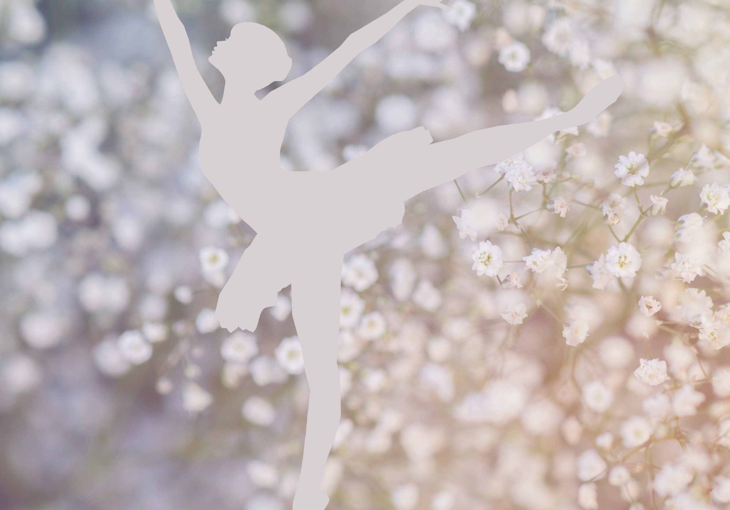 2388x1668 iPad Pro wallpapers Ballerina Girl Dance White Dandelion Flowers iPad Wallpaper 2388x1668 pixels resolution
