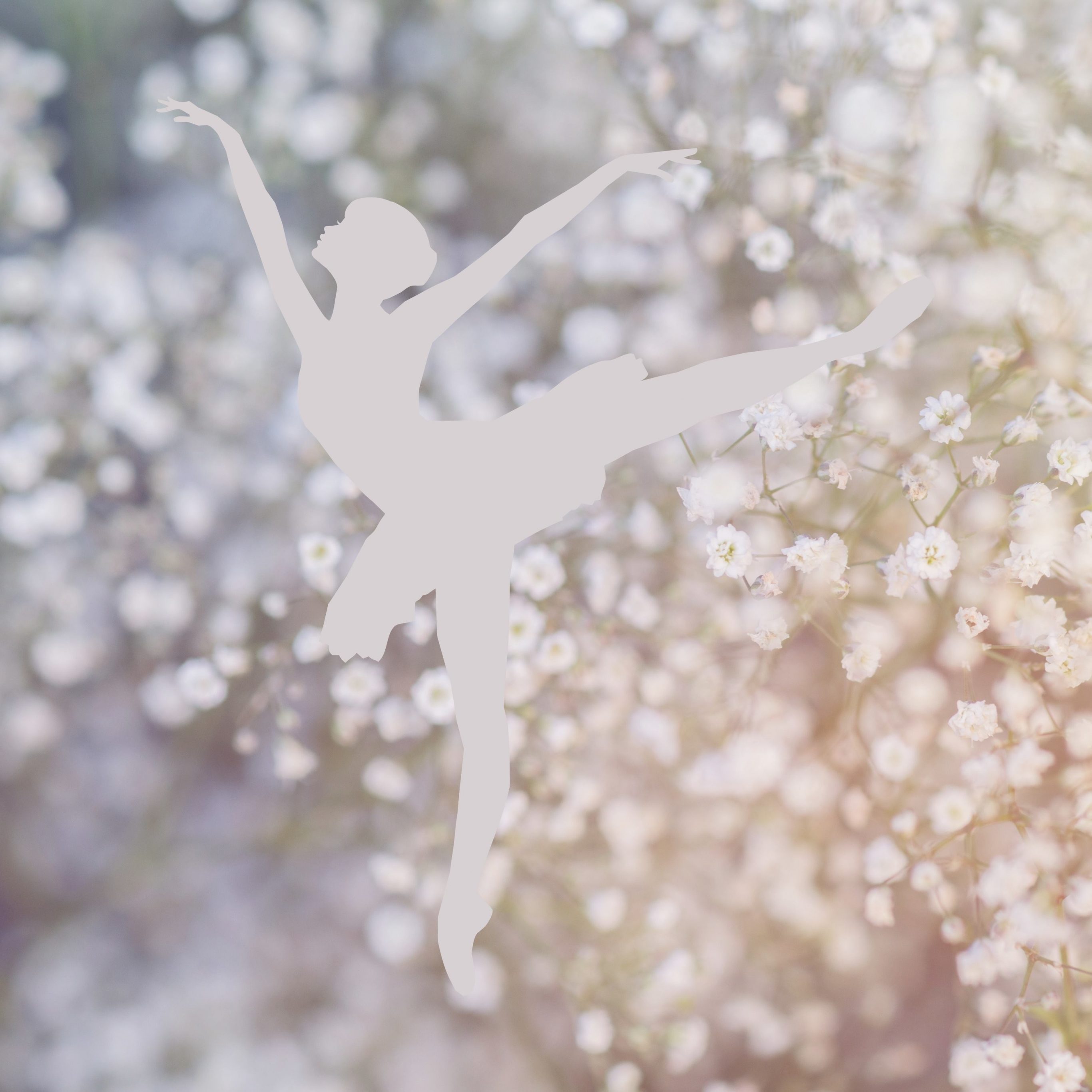 iPad Pro 12.9 wallpapers Ballerina Girl Dance White Dandelion Flowers iPad Wallpaper