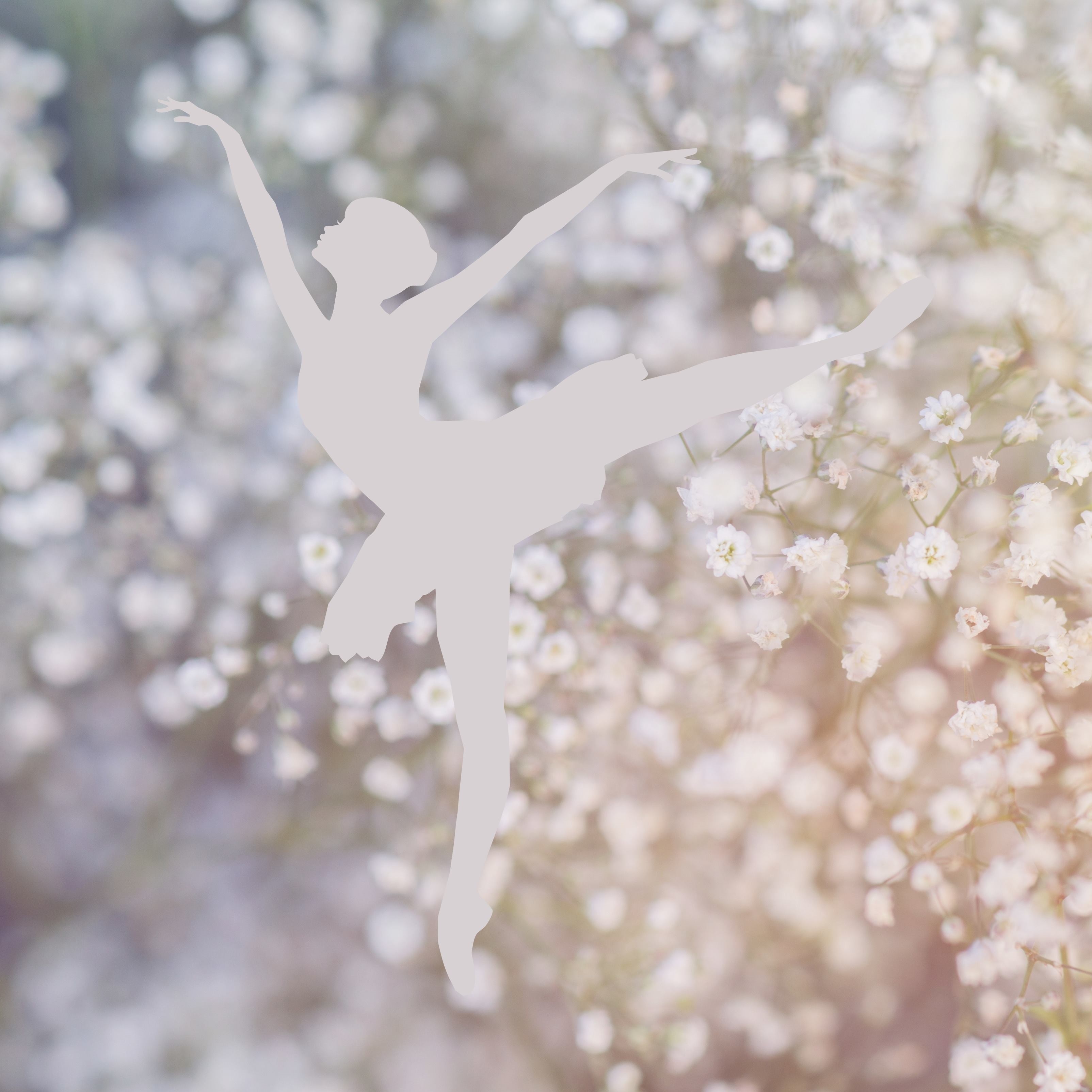 Ballerina Girl Dance White Dandelion Flowers iPad Wallpaper