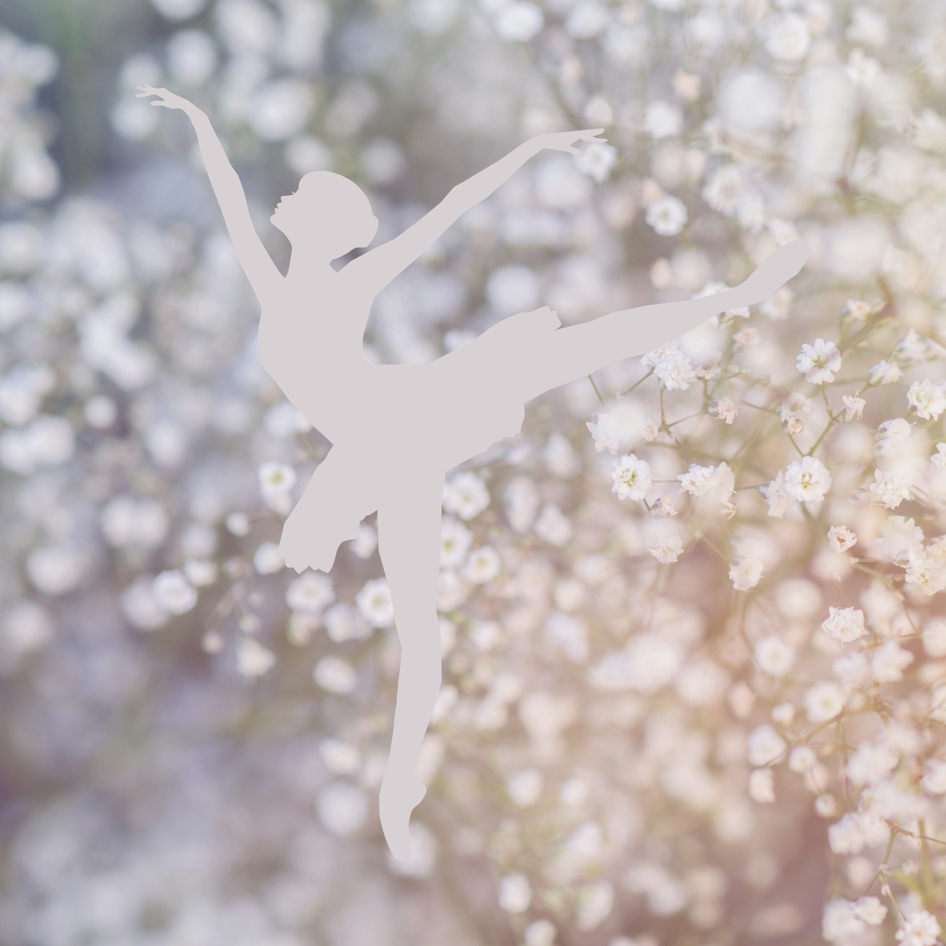 iPad Mini 5 wallpapers Ballerina Girl Dance White Dandelion Flowers iPad Wallpaper