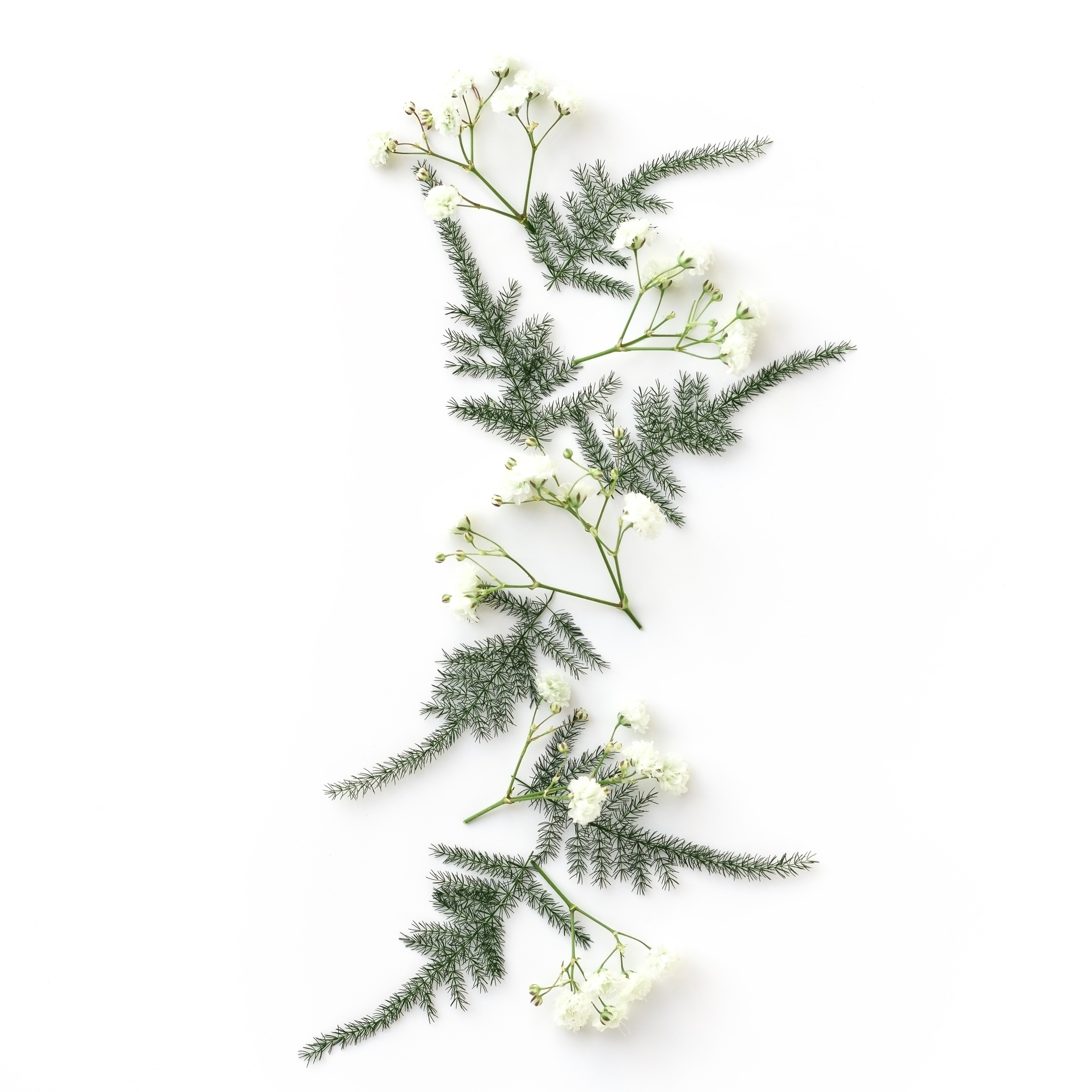 Minimalist Christmas Flowers Decoration Gift iPad Wallpaper