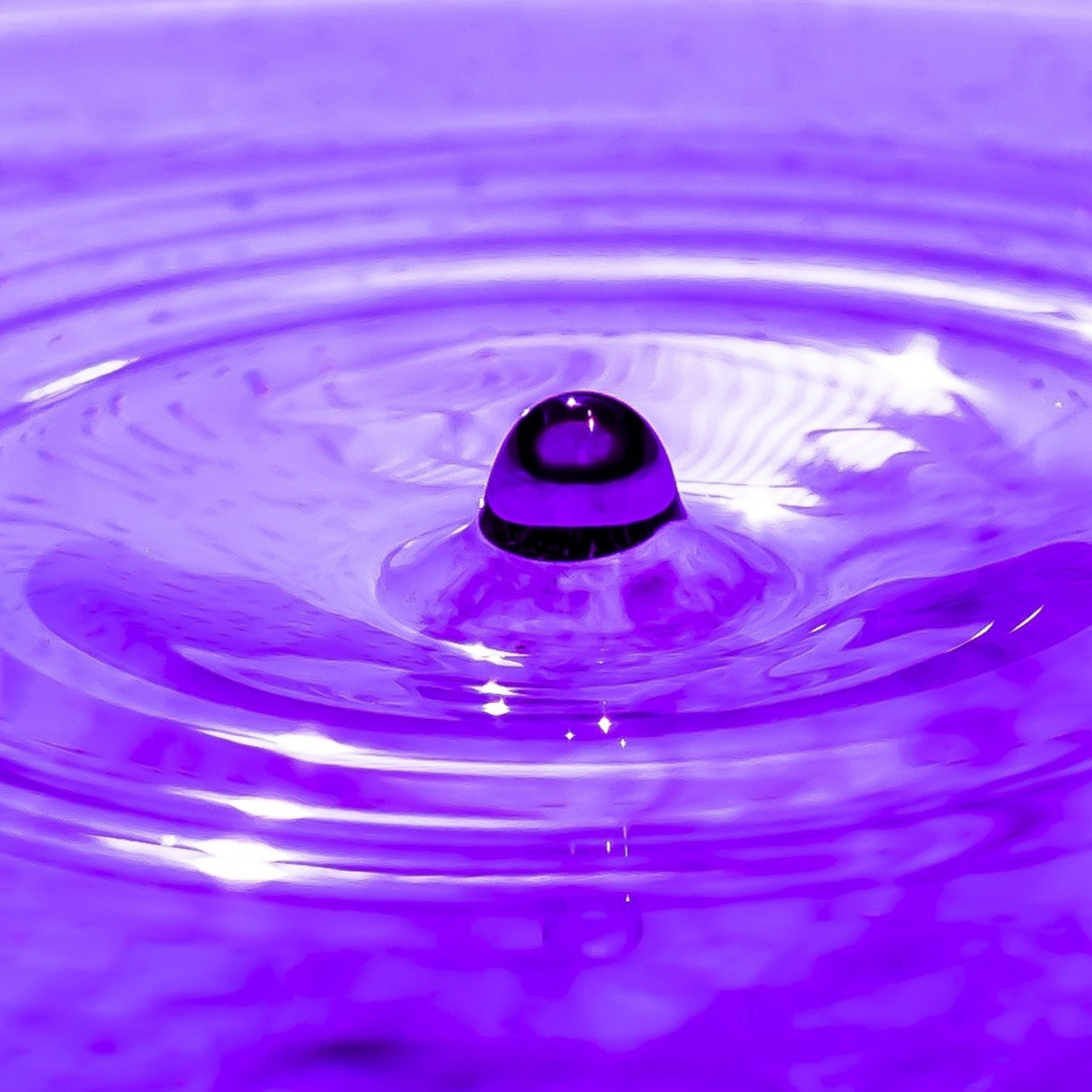 Purple Water Drop Bubble Circle iPad Wallpaper