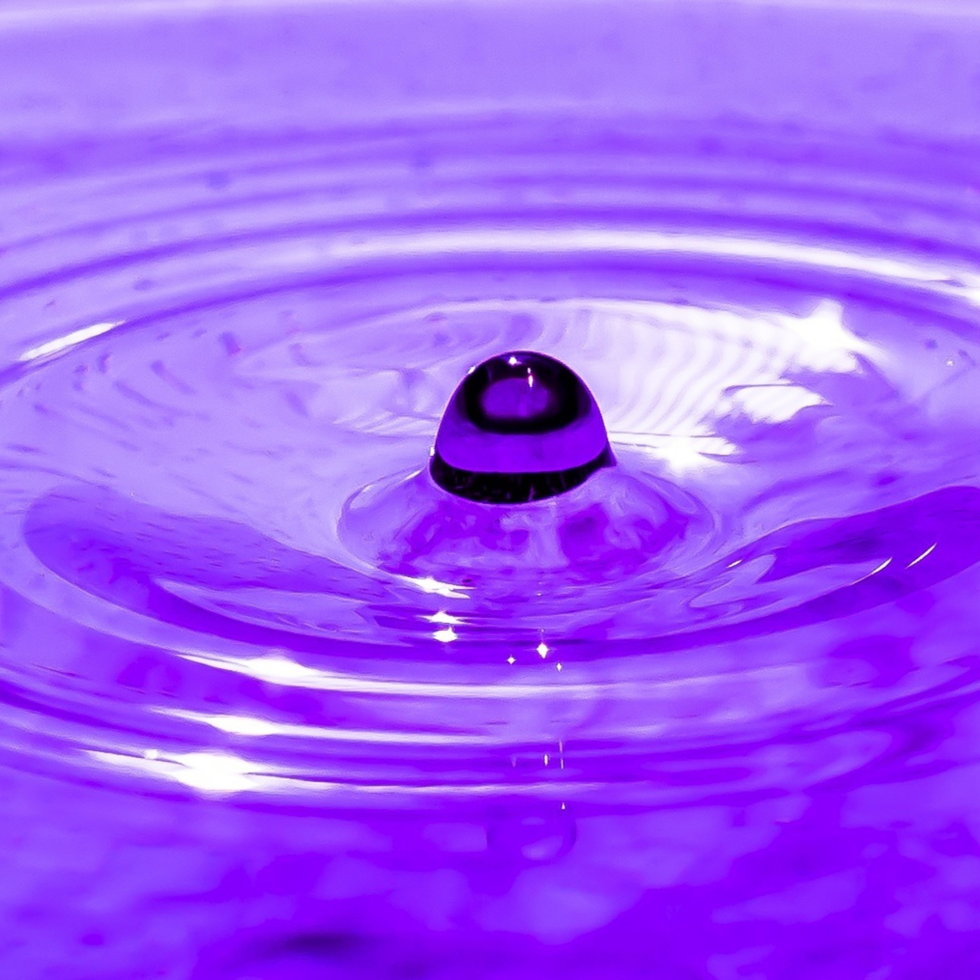 iPad Wallpapers Purple Water Drop Bubble Circle iPad Wallpaper 3208x3208 px