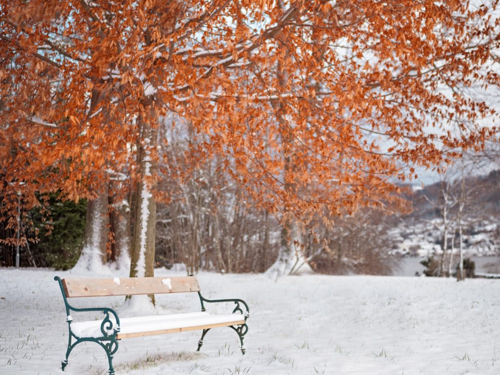 1024x768 wallpaper 4k Snow Winter Season Leaves iPad Wallpaper 1024x768 pixels resolution