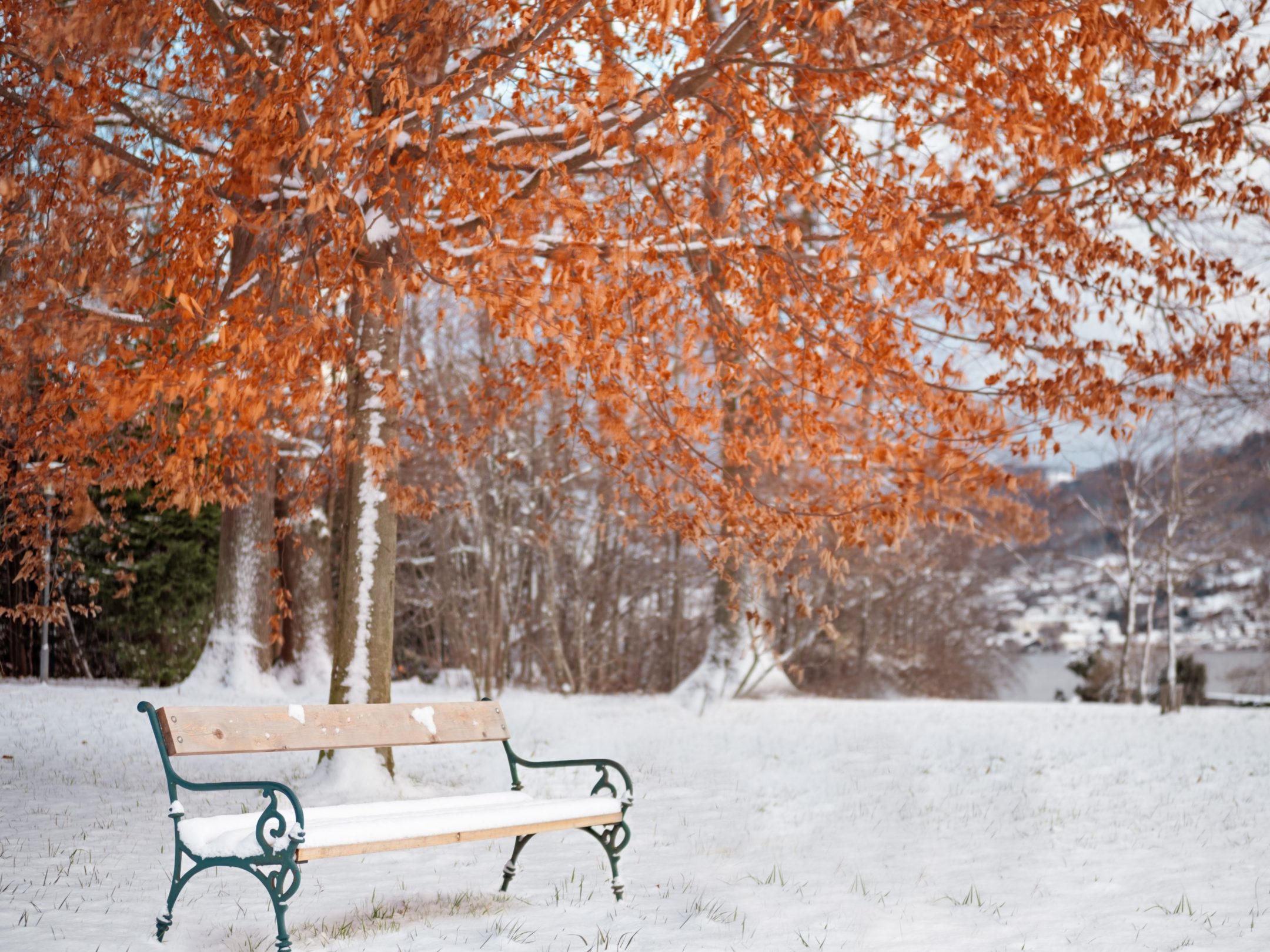 2160x1620 iPad wallpaper 4k Snow Winter Season Leaves iPad Wallpaper 2160x1620 pixels resolution