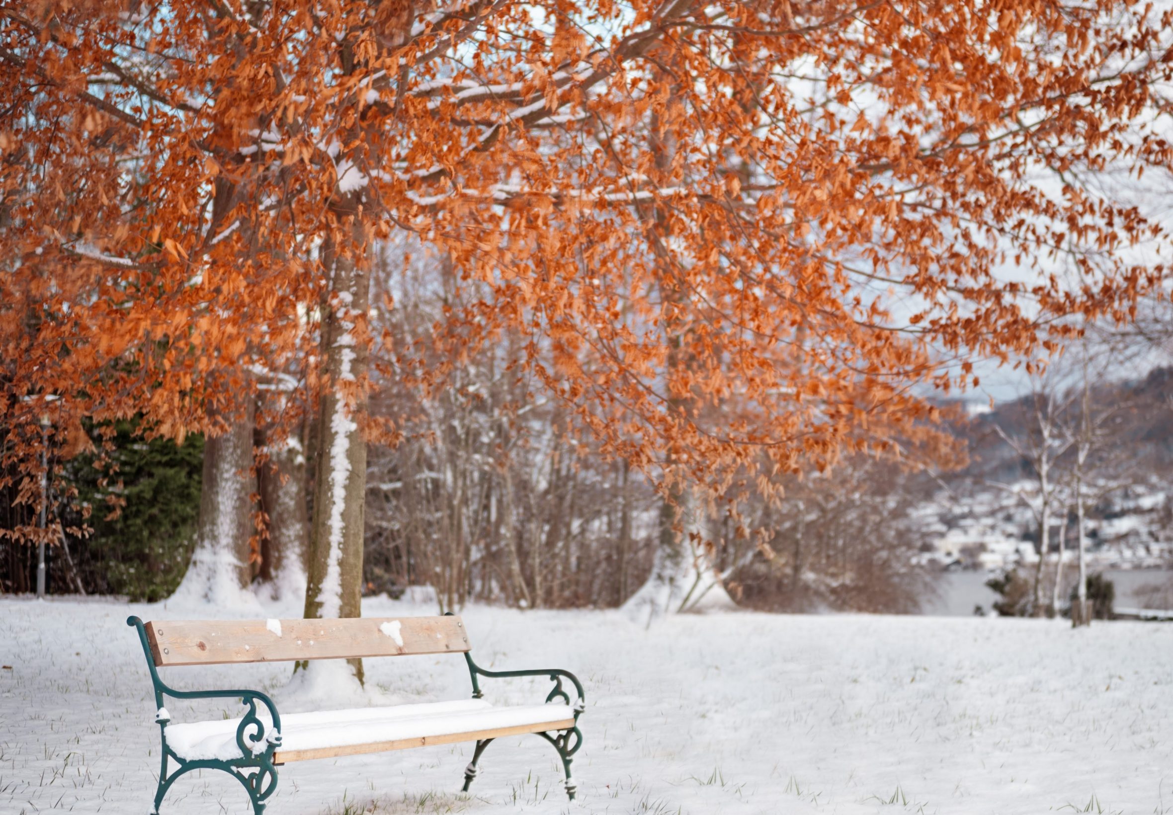 2360x1640 iPad Air wallpaper 4k Snow Winter Season Leaves iPad Wallpaper 2360x1640 pixels resolution