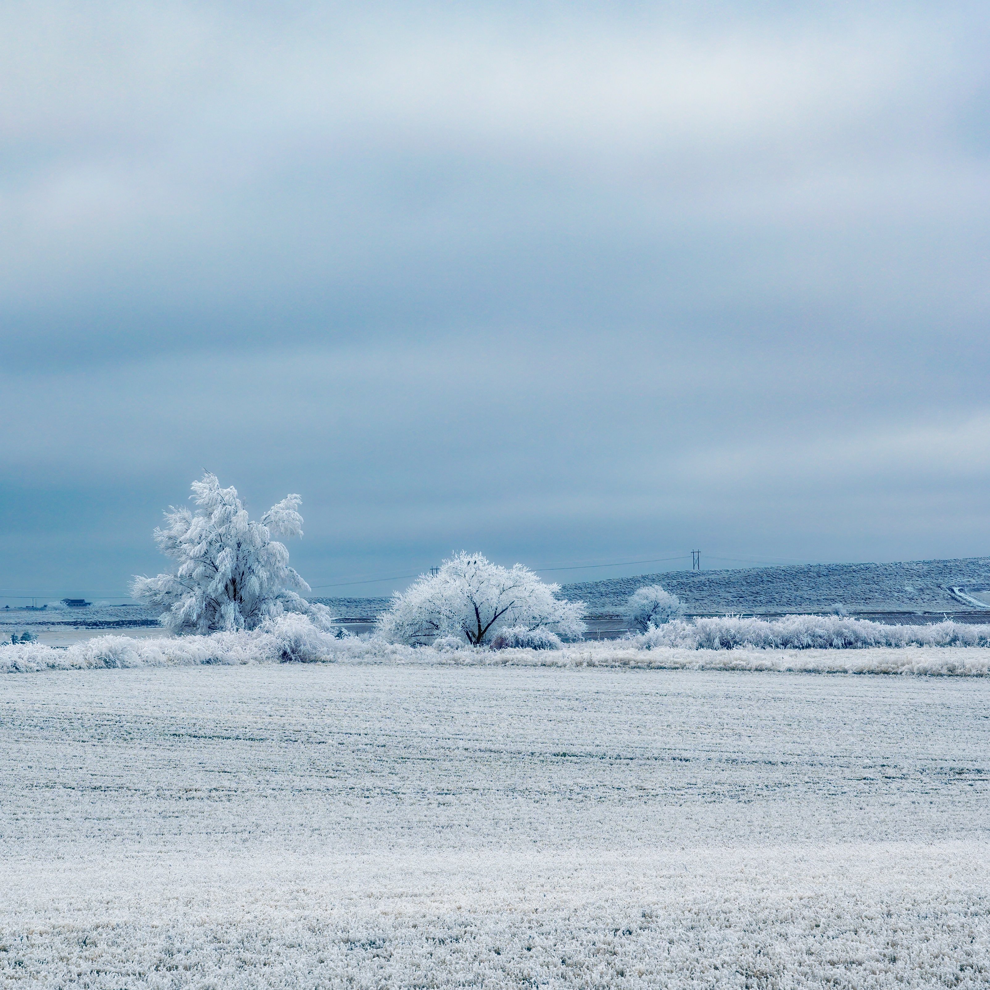 Apple iPad Air wallpapers Winter Fog Frozen Weather iPad Wallpaper