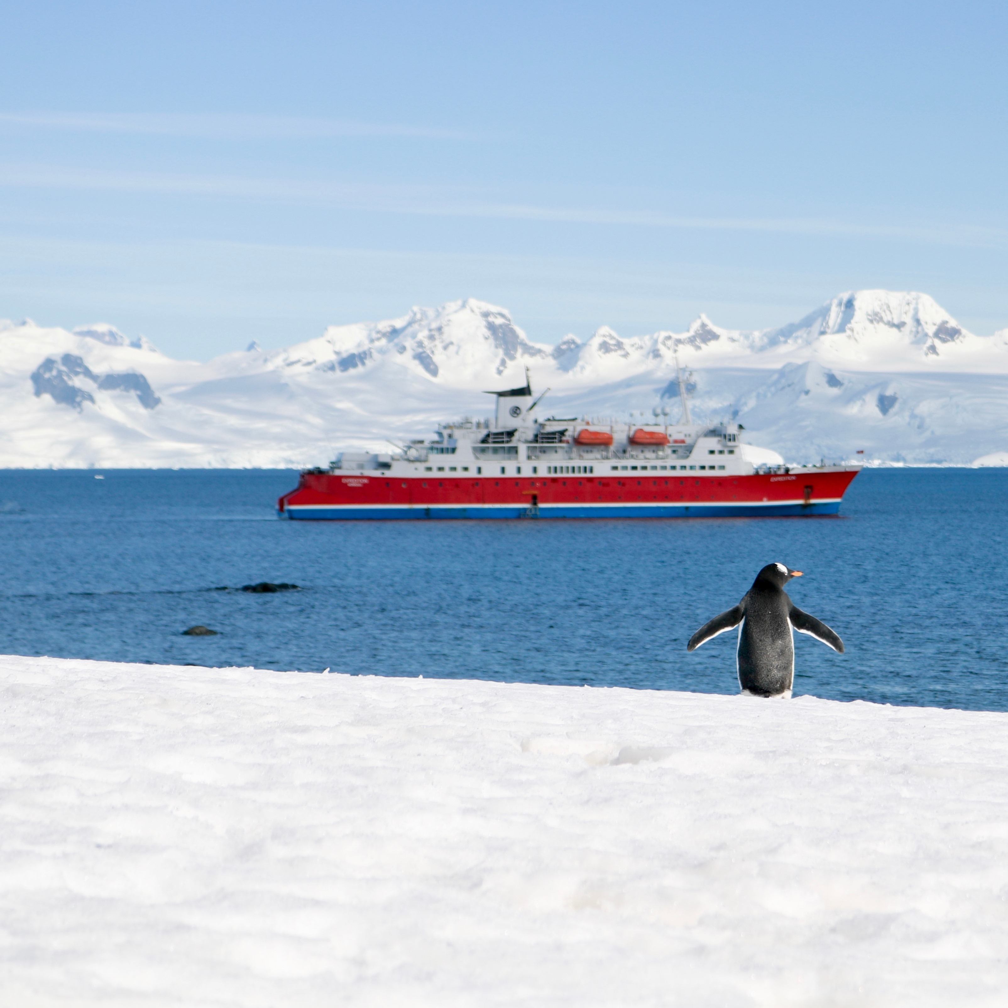 iPad Wallpapers Winter Snowy Ice Peguin Ship Sea Shore iPad Wallpaper 3208x3208 px