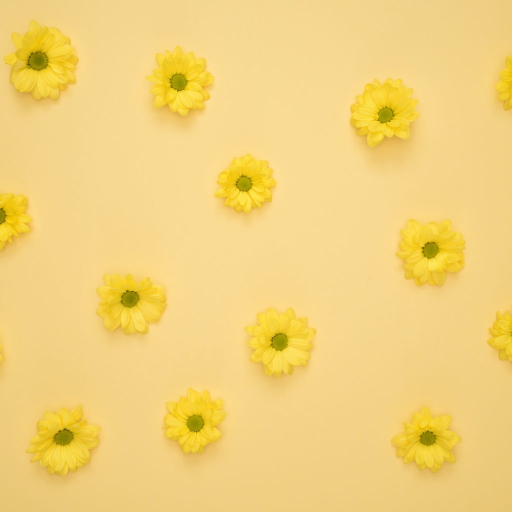 1024x1024 wallpaper 4k Yellow Daisies Pattern iPad Wallpaper 1024x1024 pixels resolution