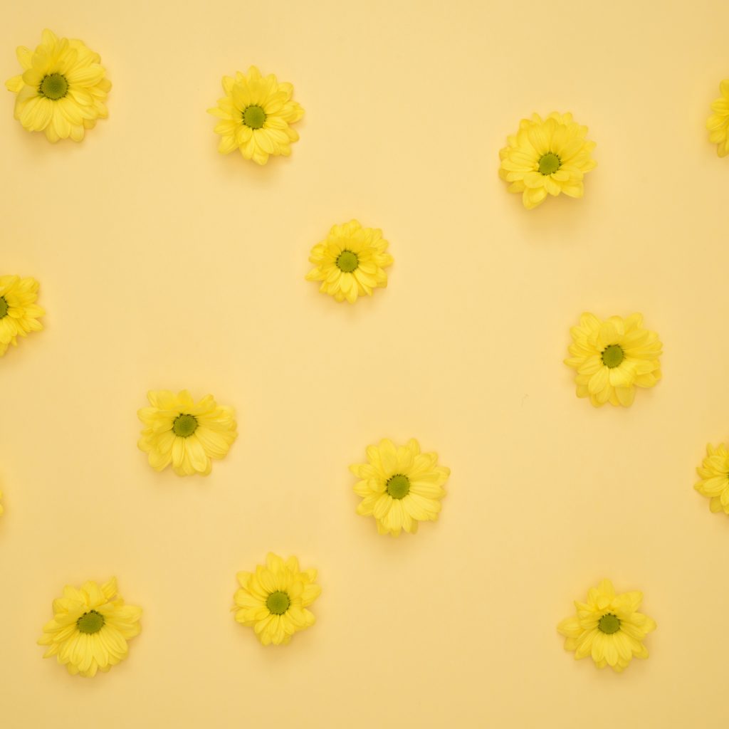 iPad Mini wallpapers Yellow Daisies Pattern iPad Wallpaper