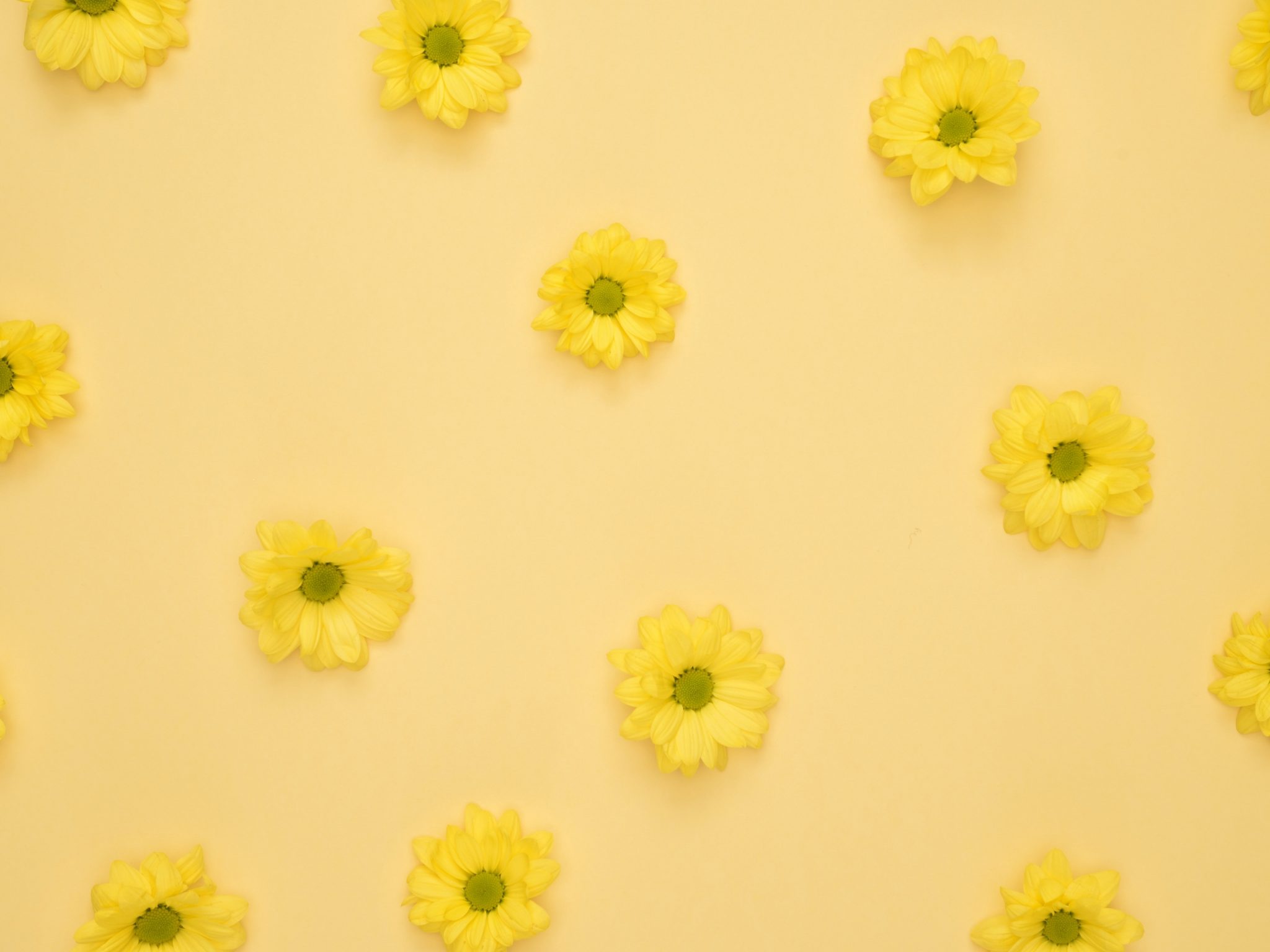 2048x1536 wallpaper Yellow Daisies Pattern iPad Wallpaper 2048x1536 pixels resolution