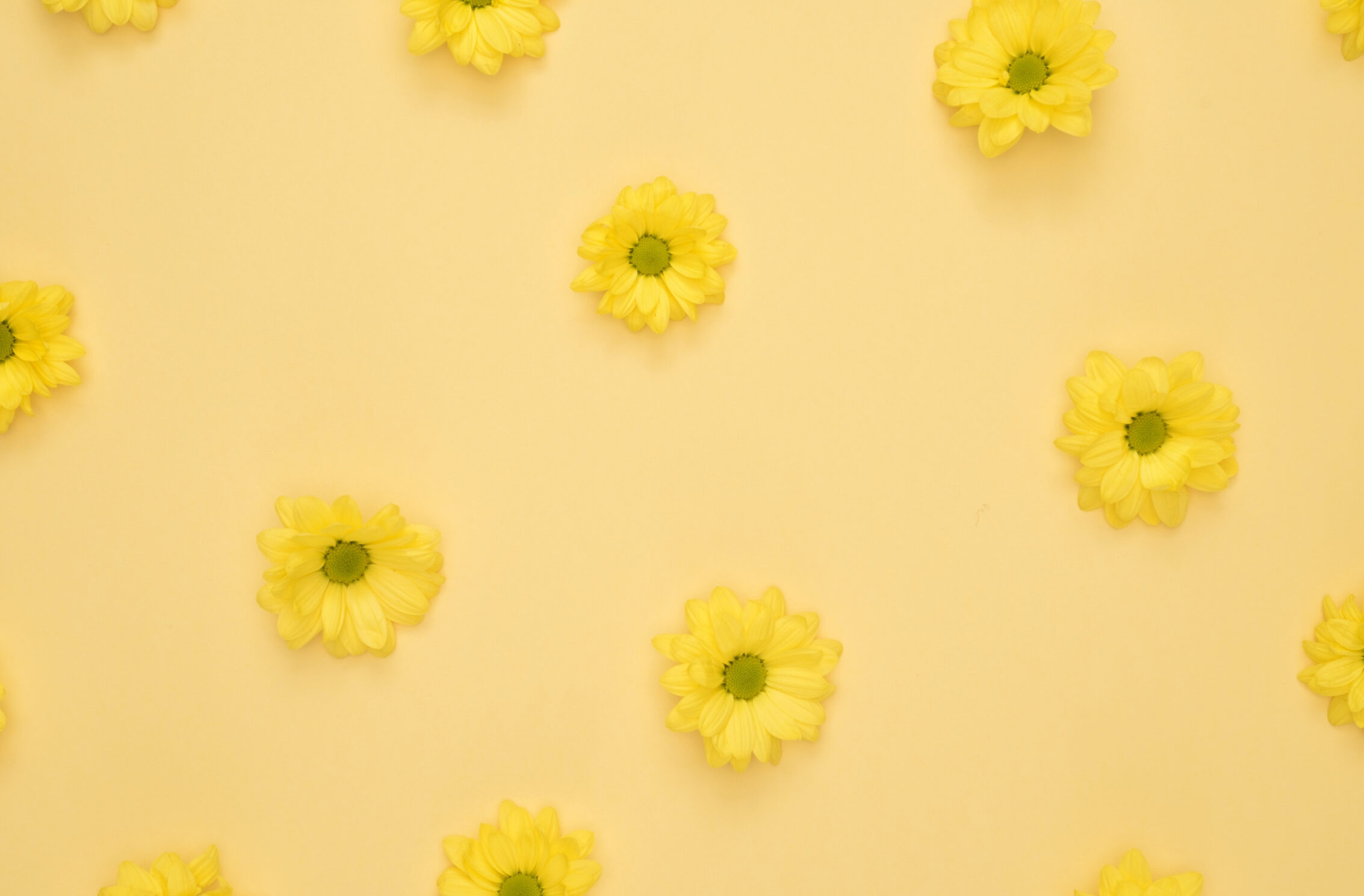 2266x1488 iPad Mini wallpapers Yellow Daisies Pattern iPad Wallpaper 2266x1488 pixels resolution