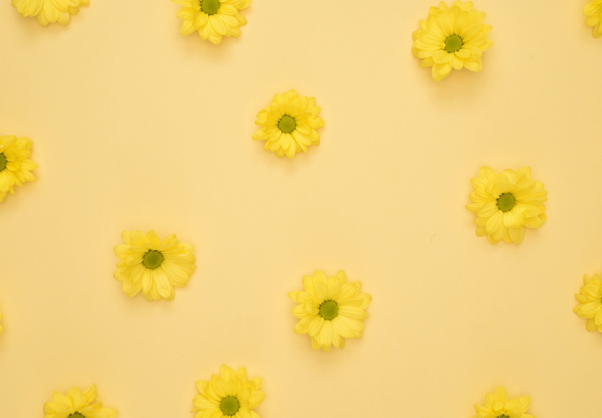 2360x1640 iPad Air wallpaper 4k Yellow Daisies Pattern iPad Wallpaper 2360x1640 pixels resolution